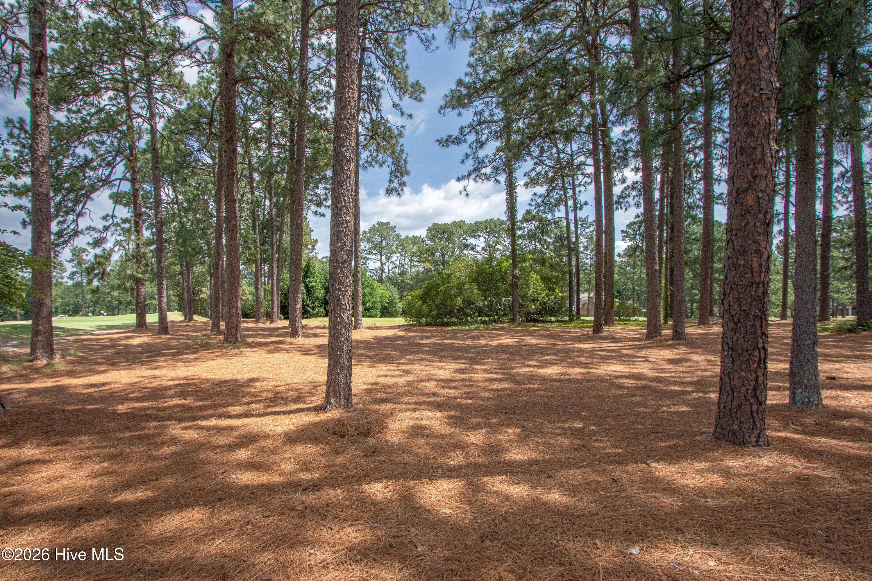 main property photo 61