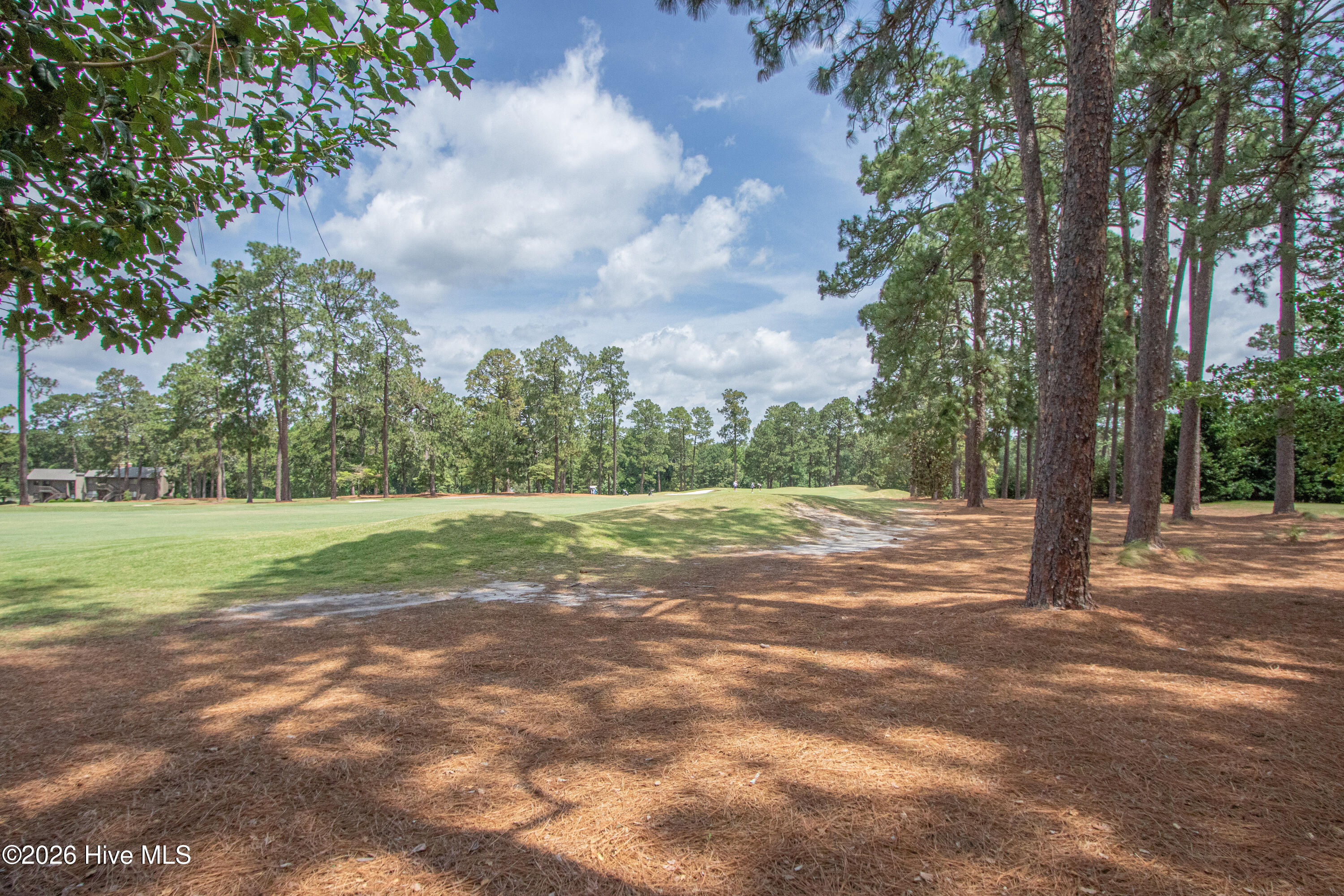 main property photo 62
