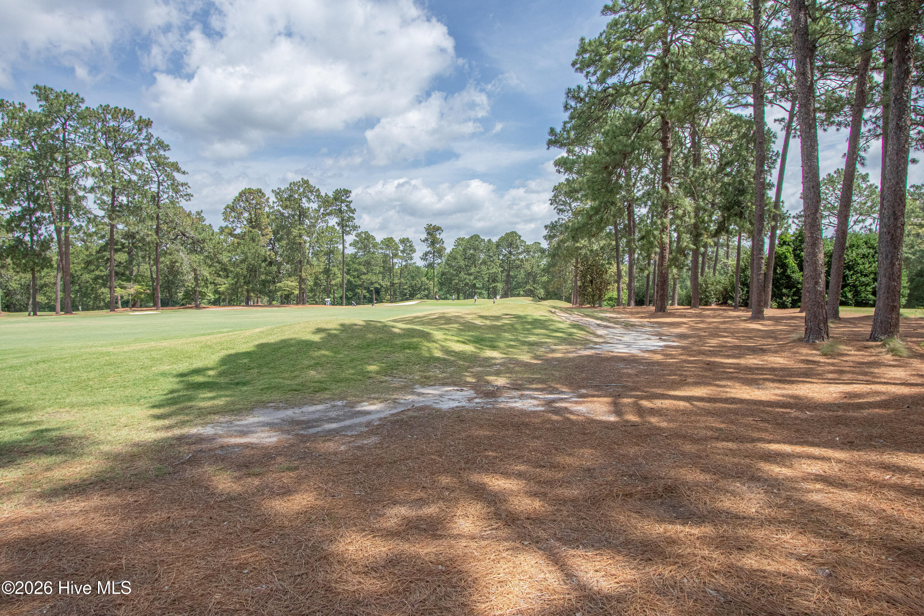 main property photo 64