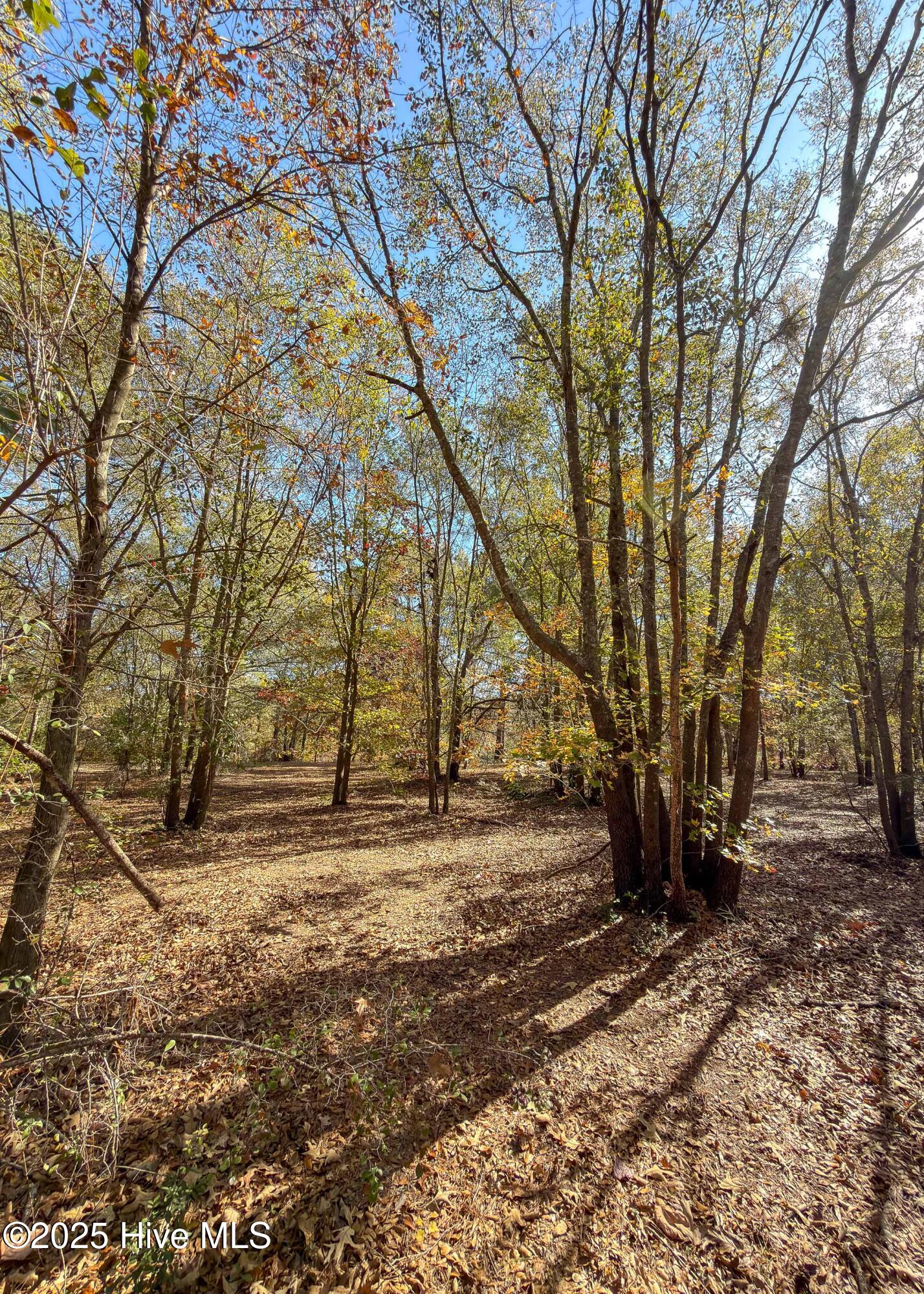 main property photo 32
