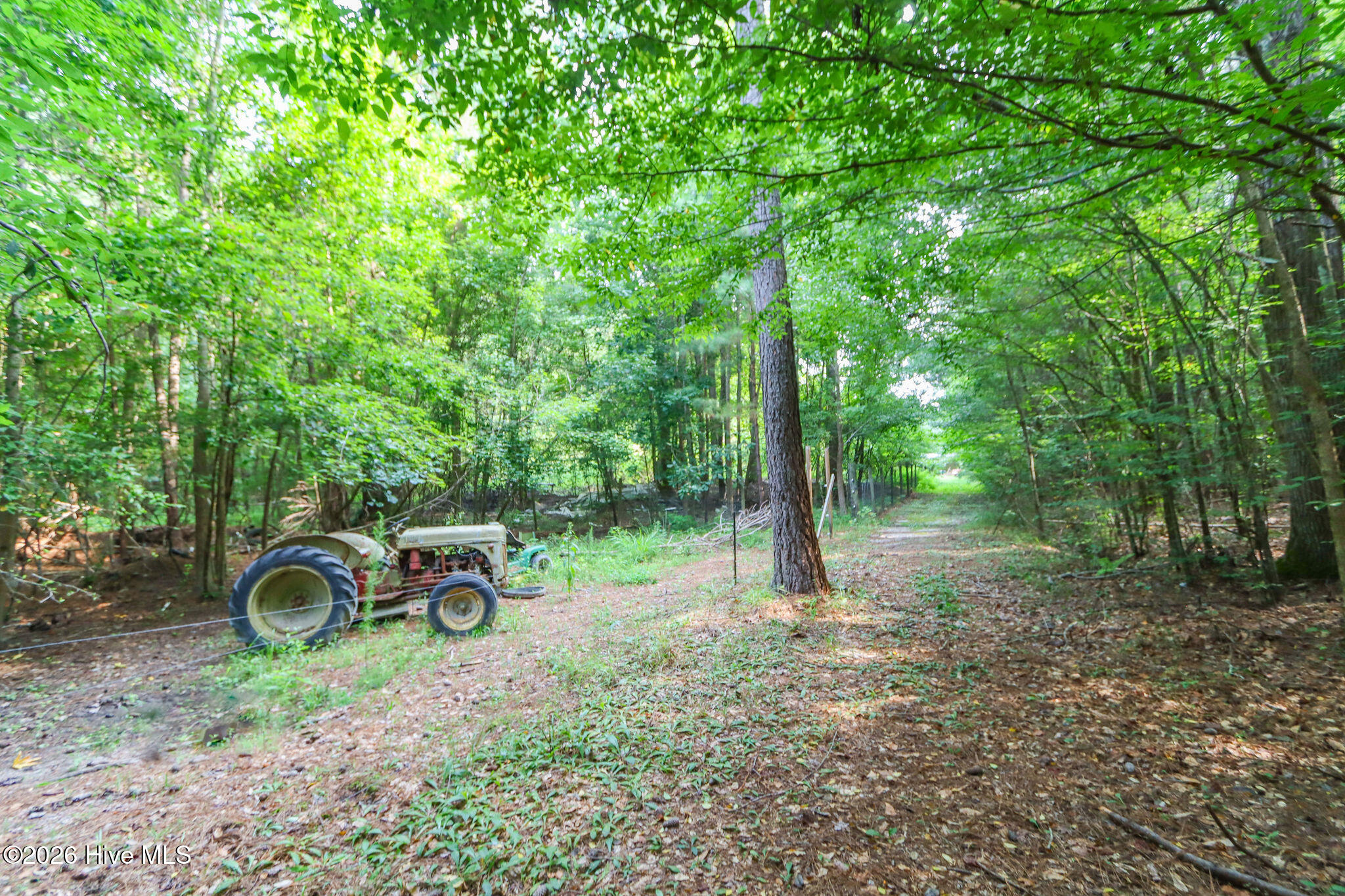 main property photo 38
