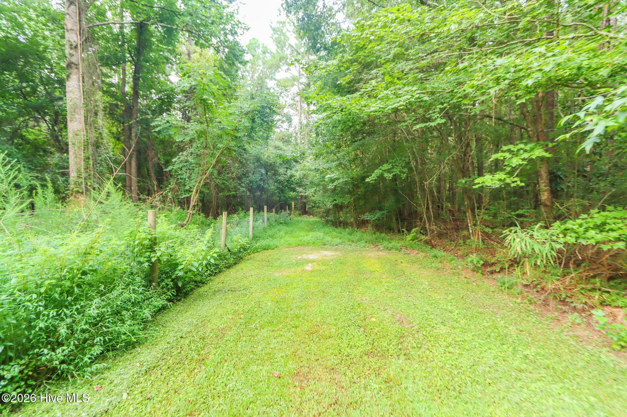 main property photo 42