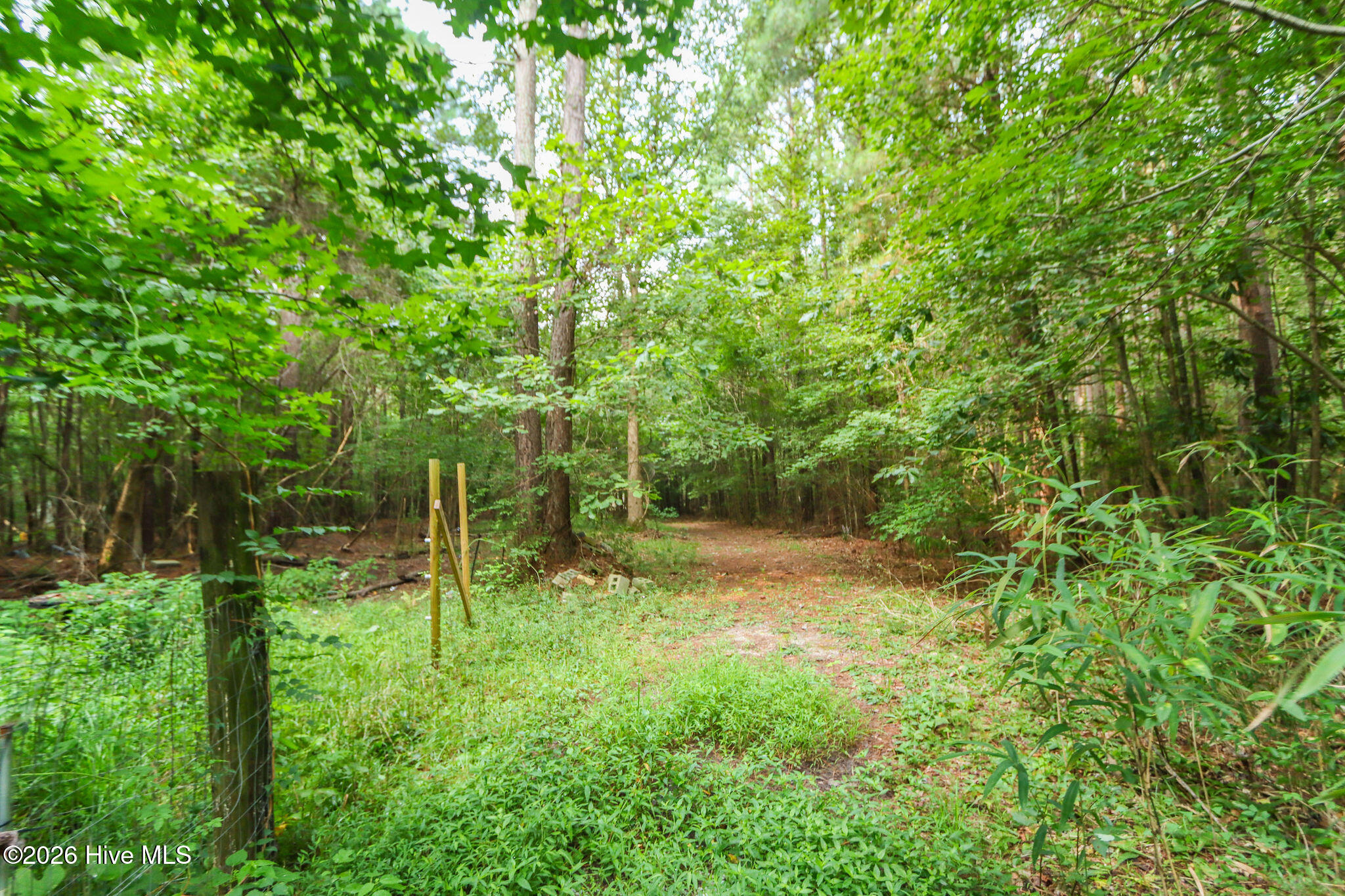 main property photo 43