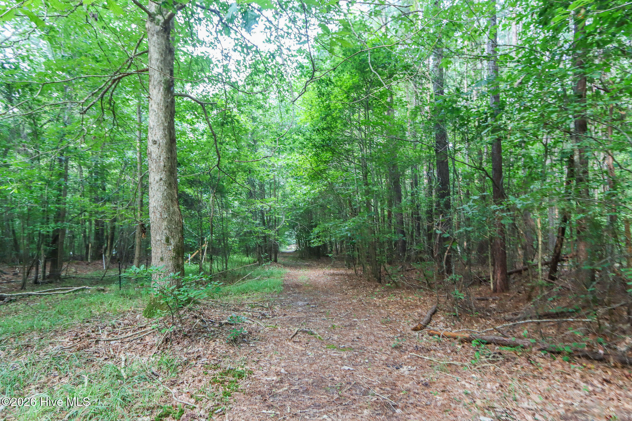 main property photo 44