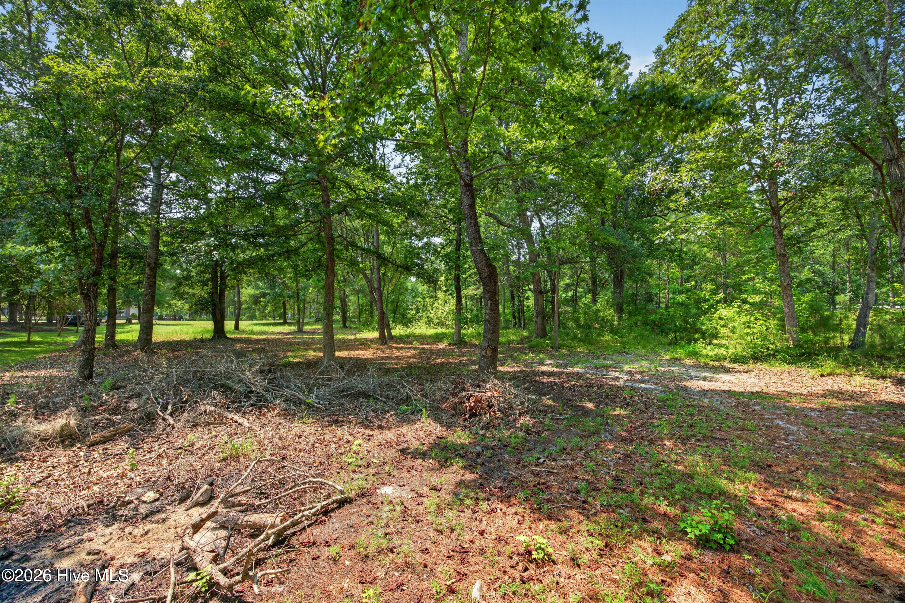 main property photo 6