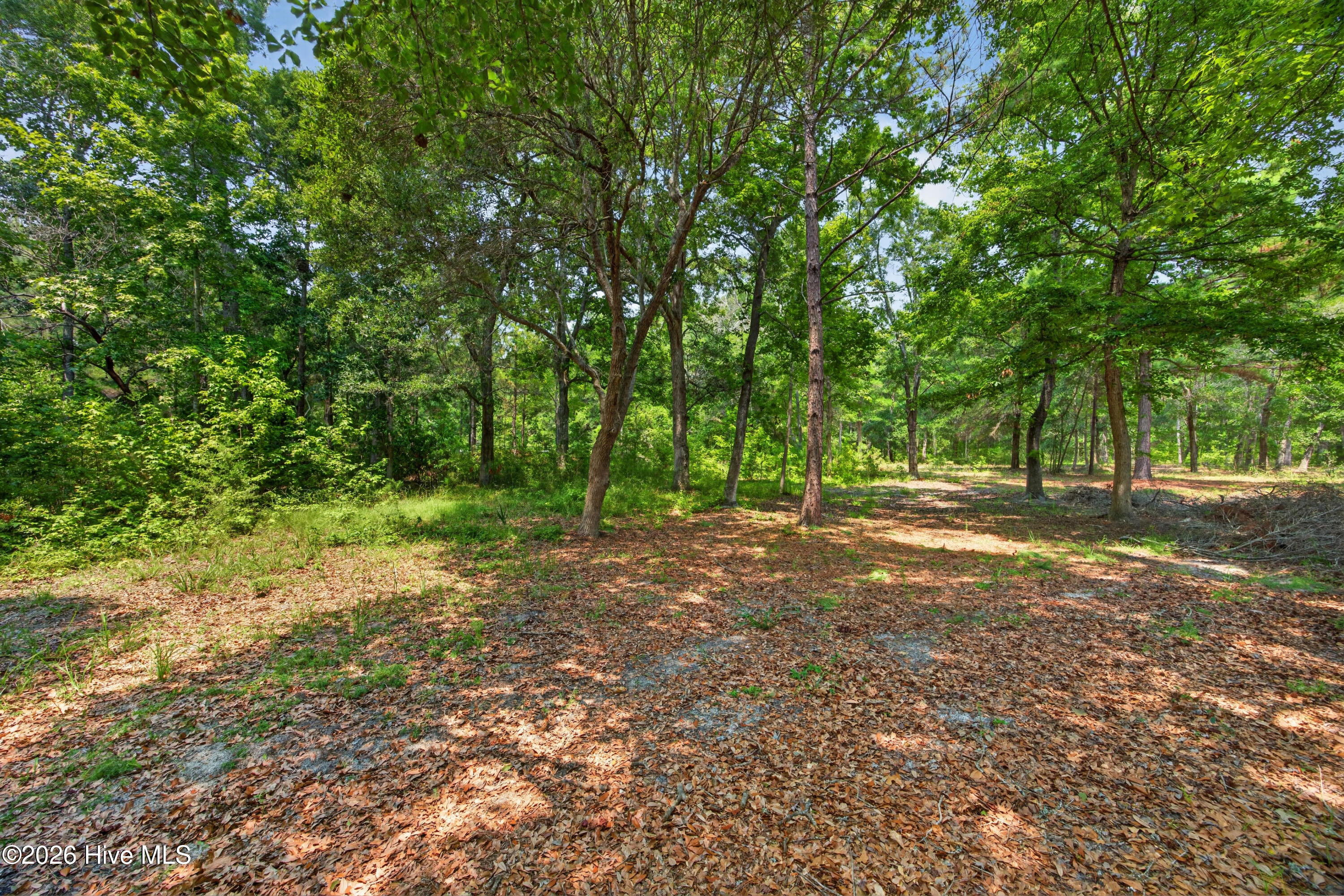 main property photo 8