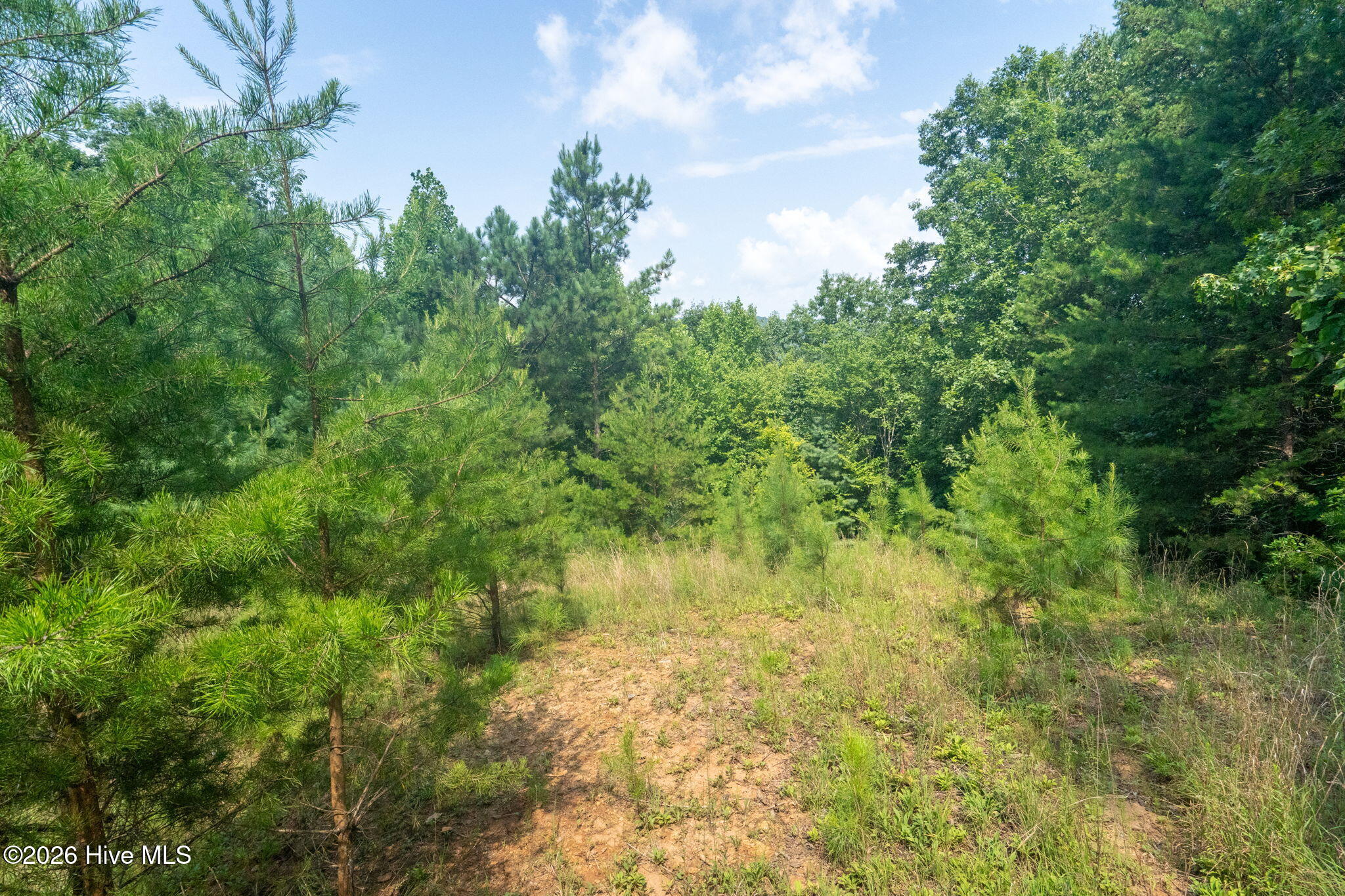 main property photo 12