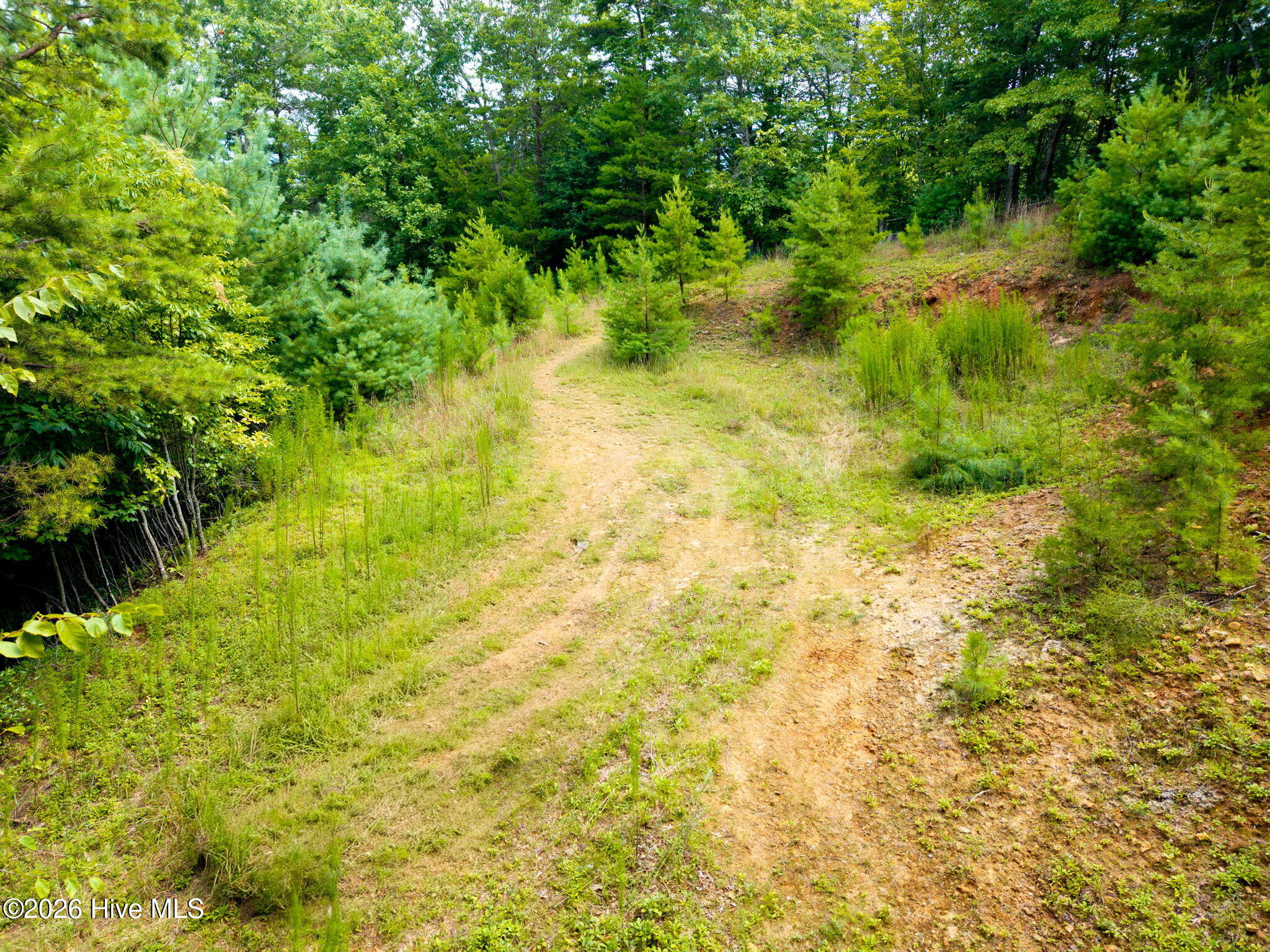 main property photo 18