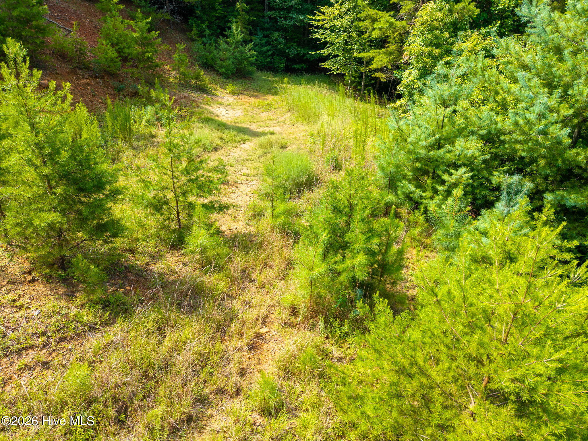main property photo 15