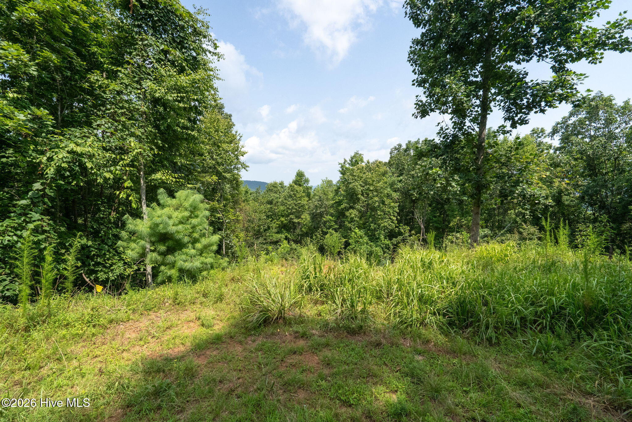 main property photo 37