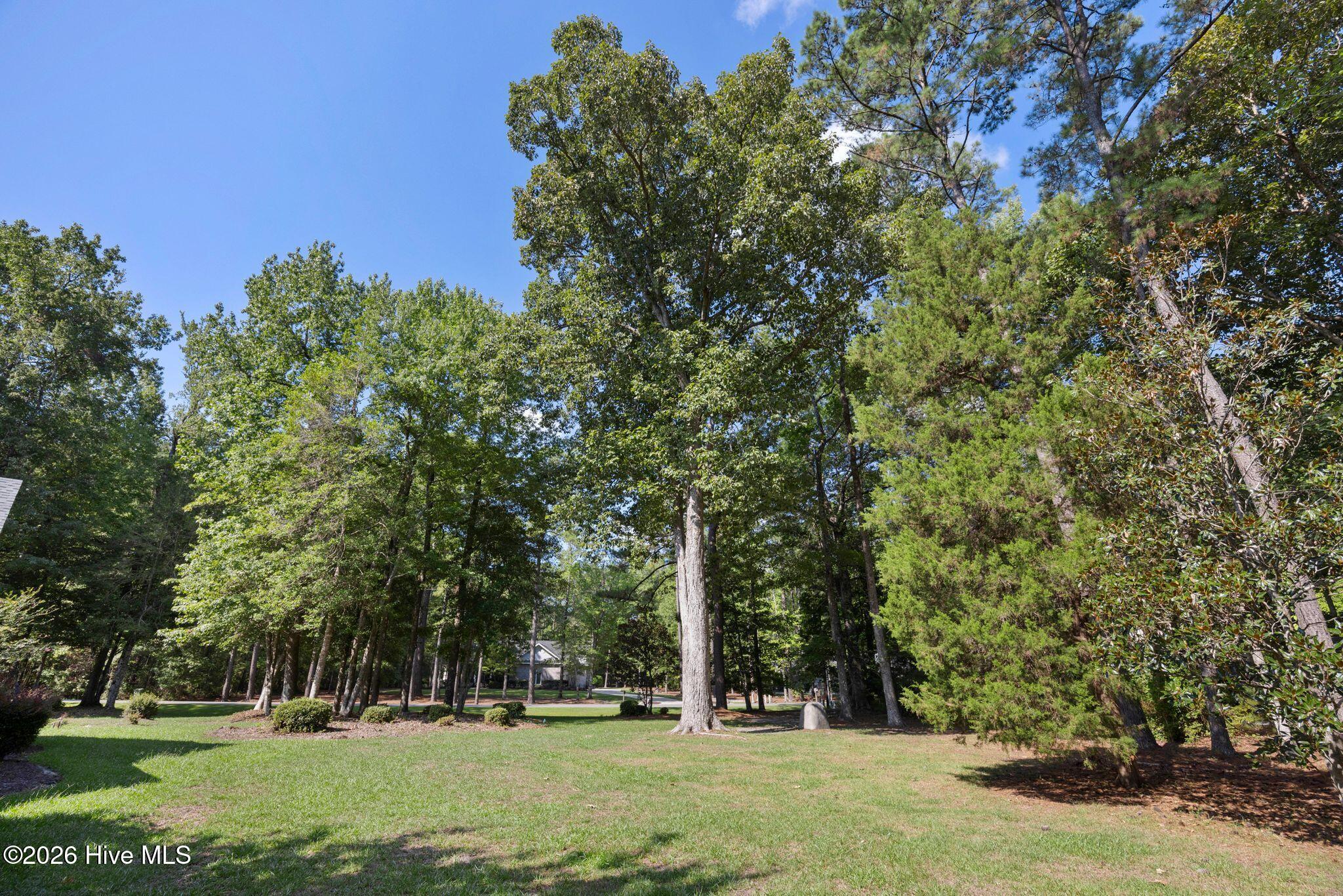 main property photo 82