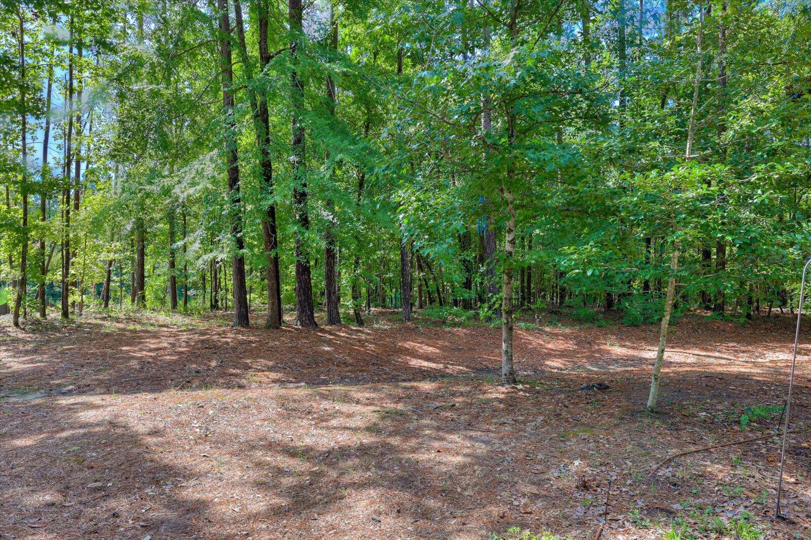 main property photo 55