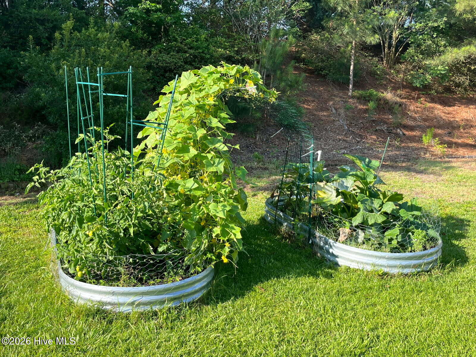 main property photo 44