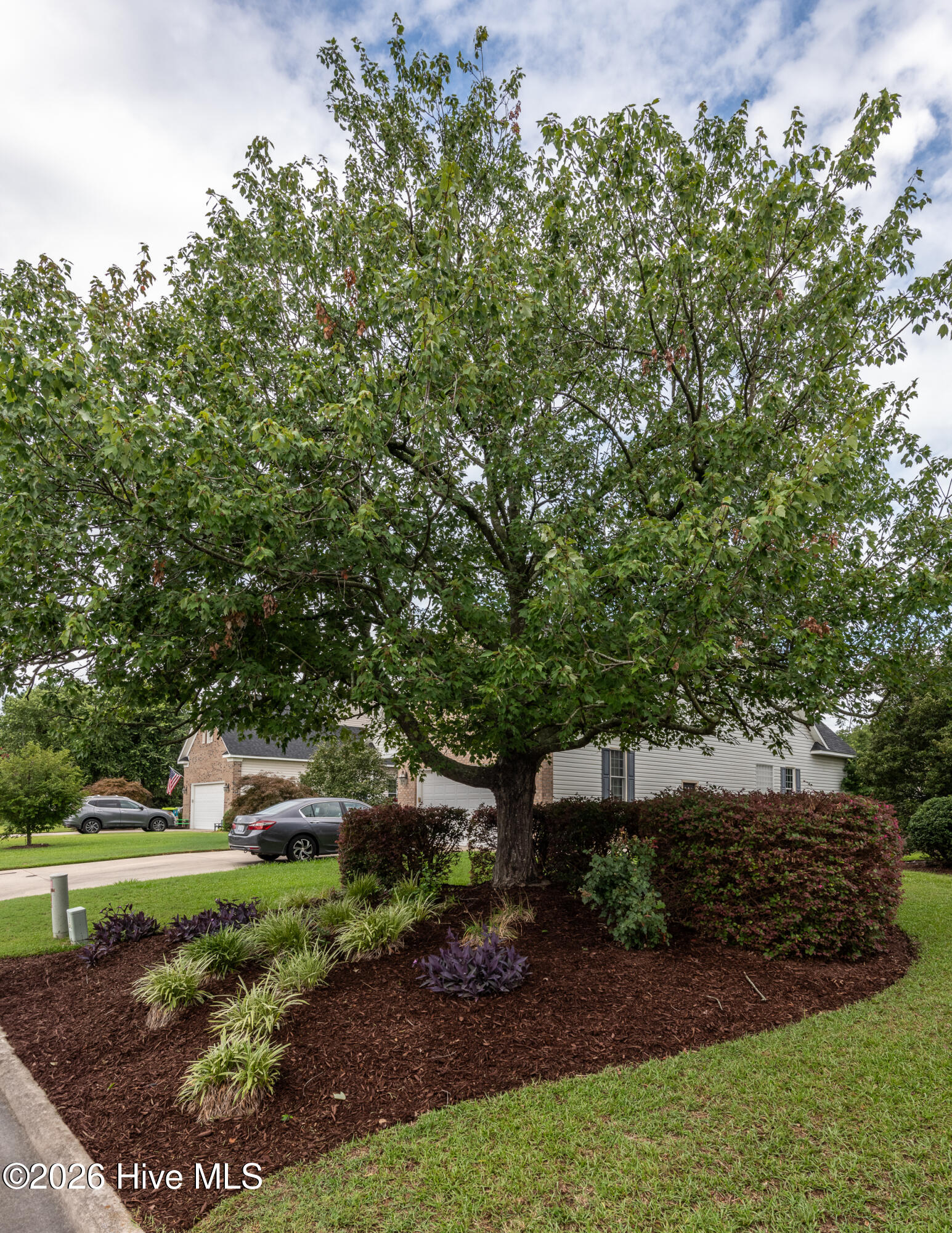 main property photo 54