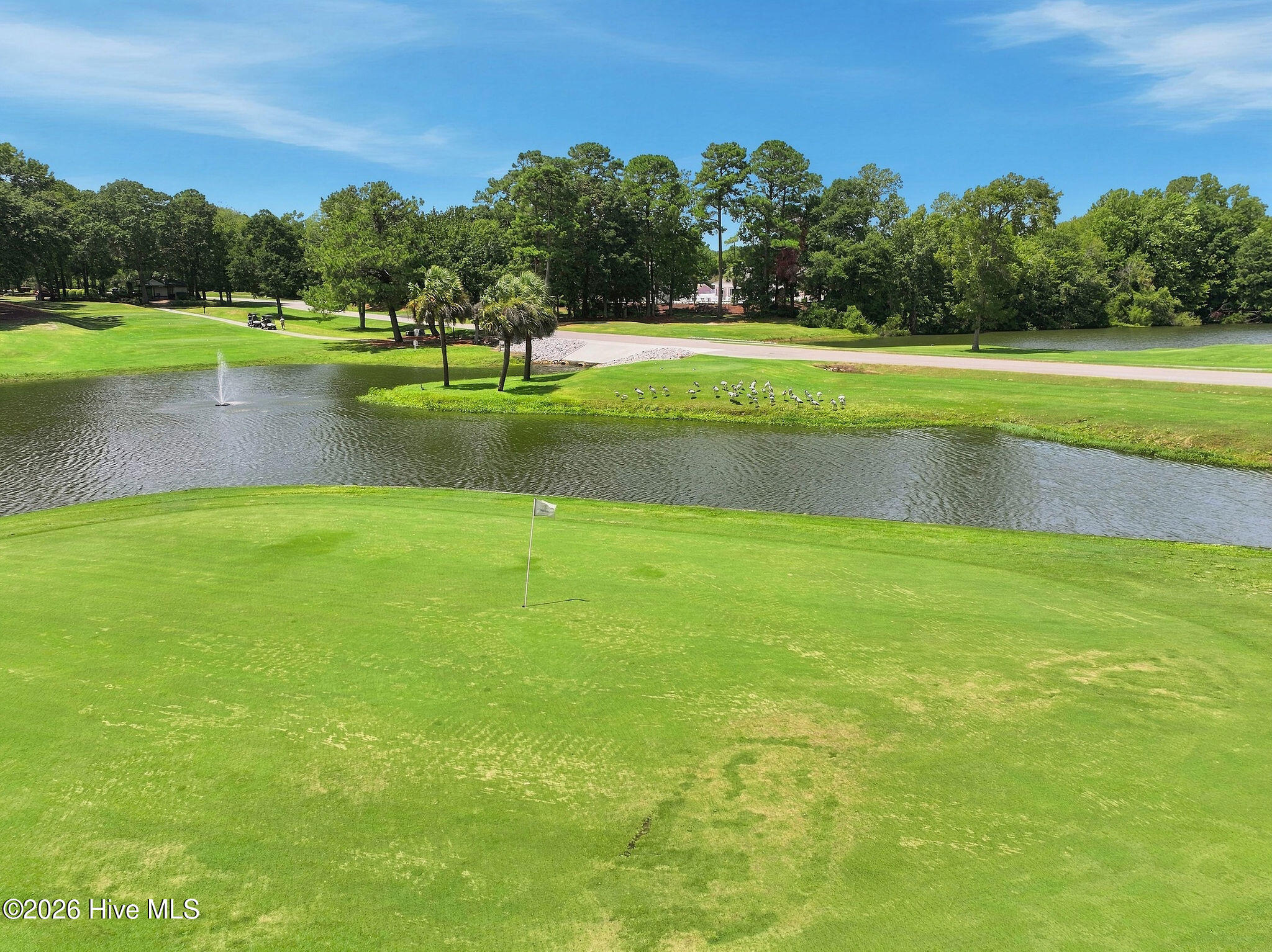 main property photo 63