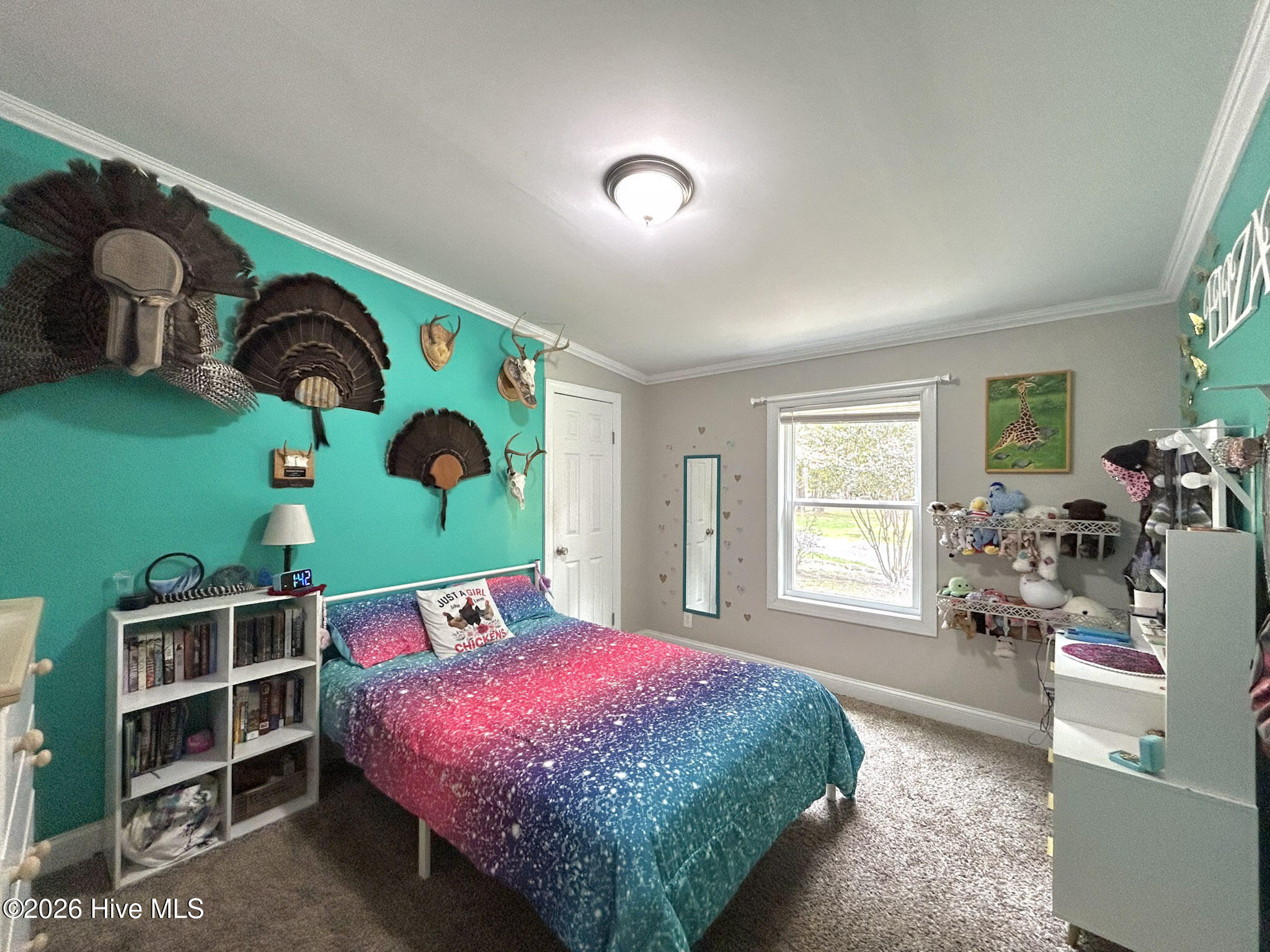 main property photo 47