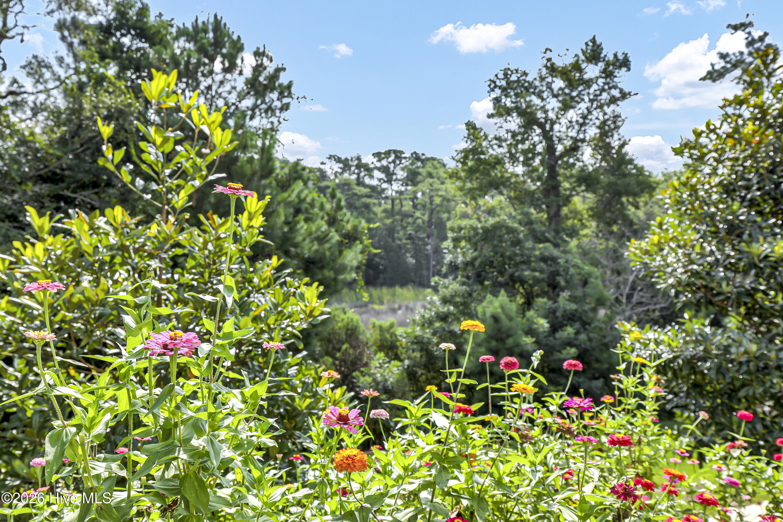 main property photo 68