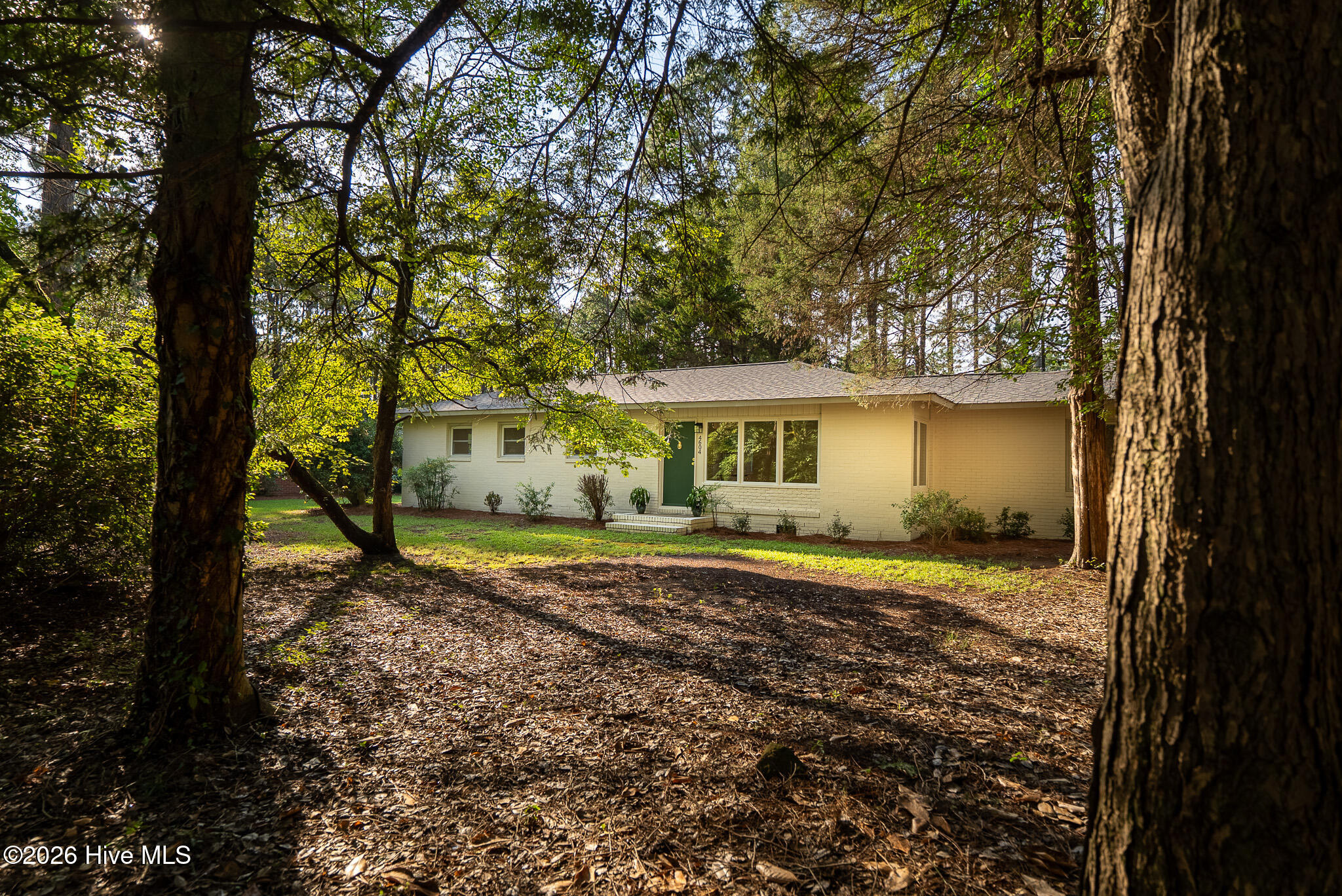 main property photo 37