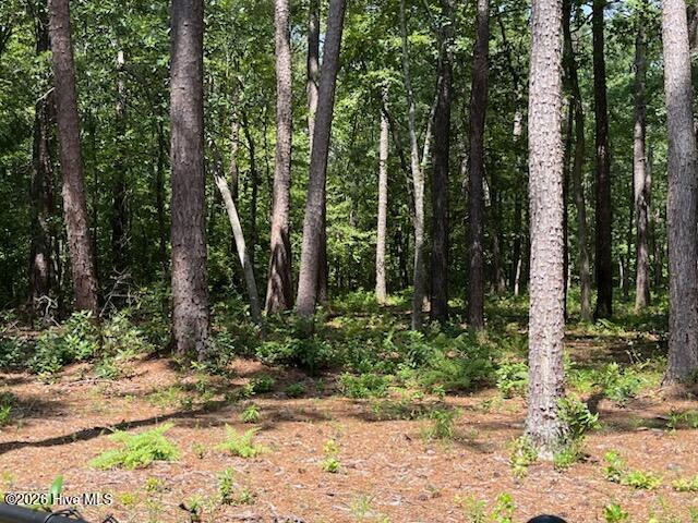main property photo 44