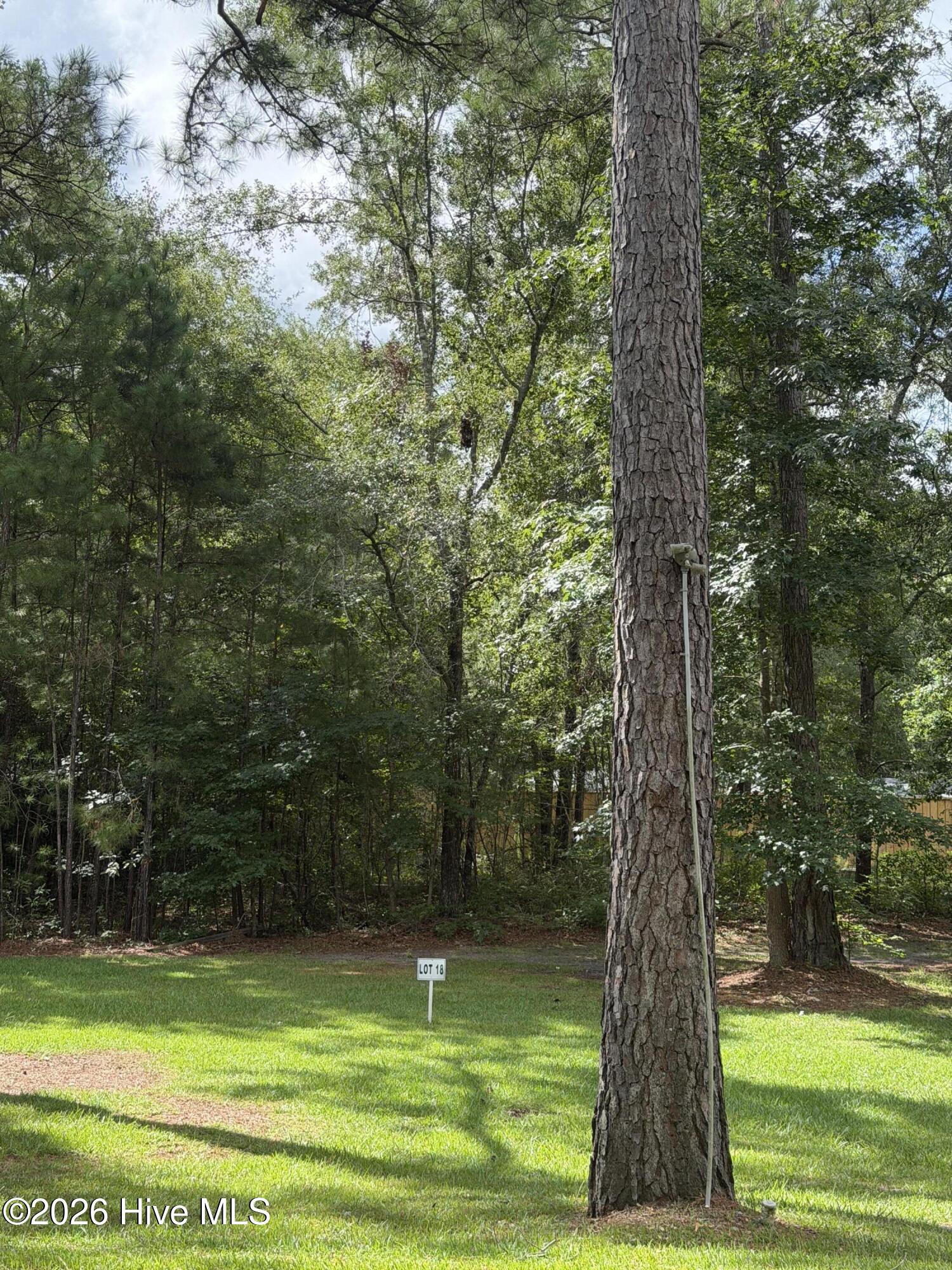 main property photo 10