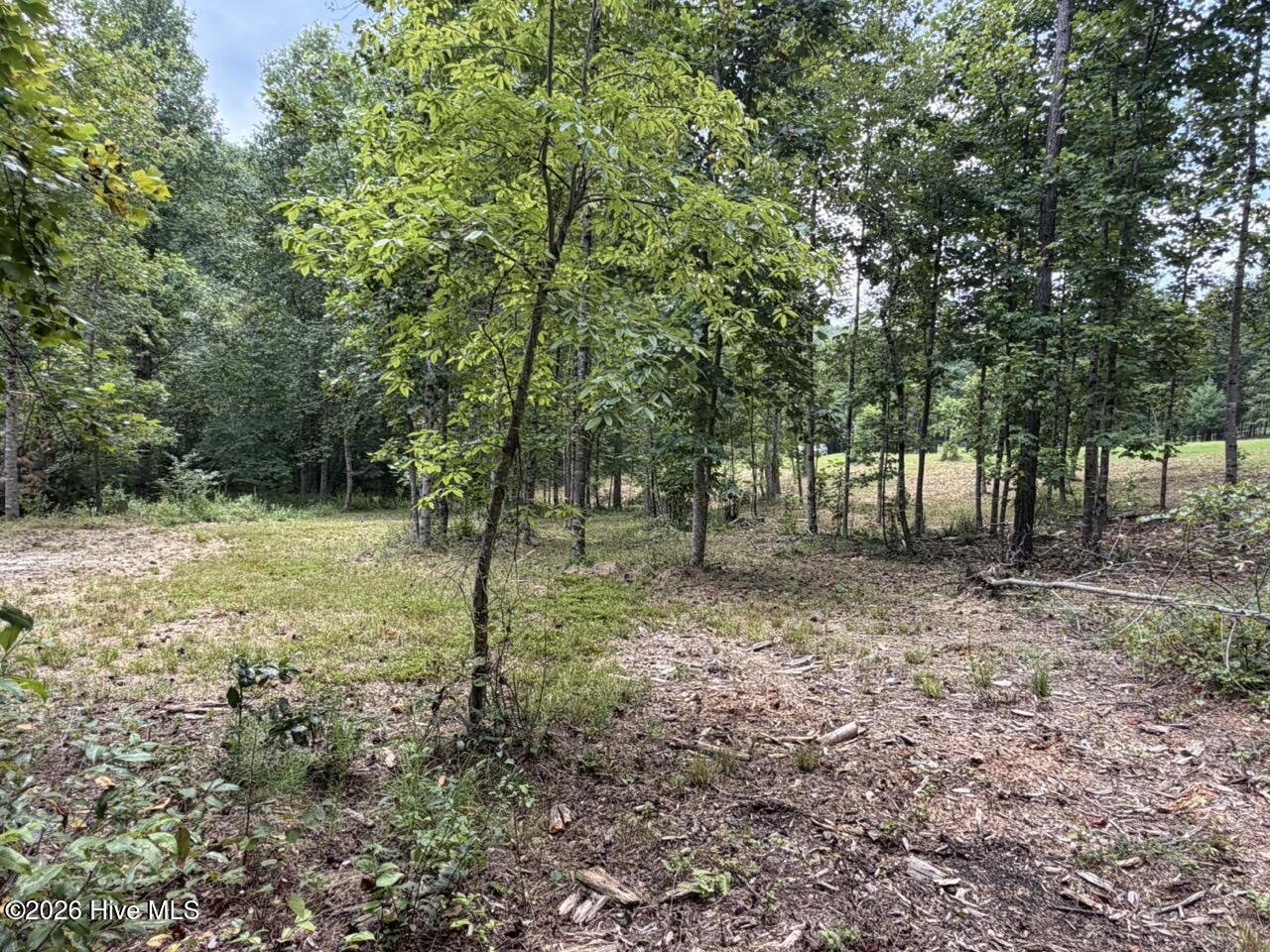 main property photo 13