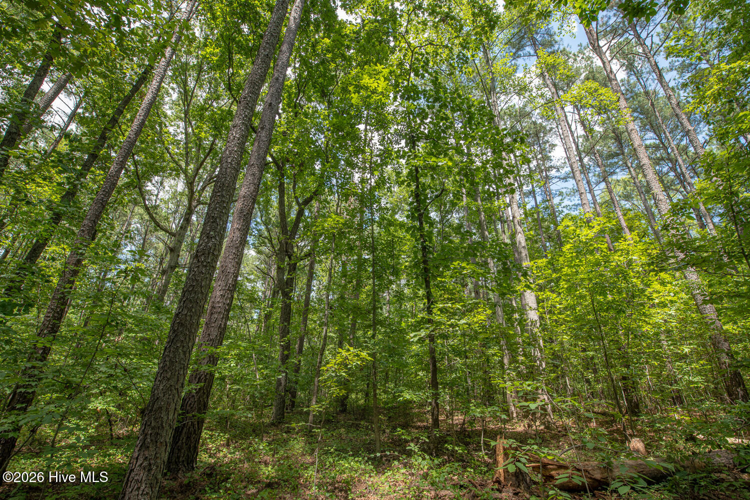main property photo 24