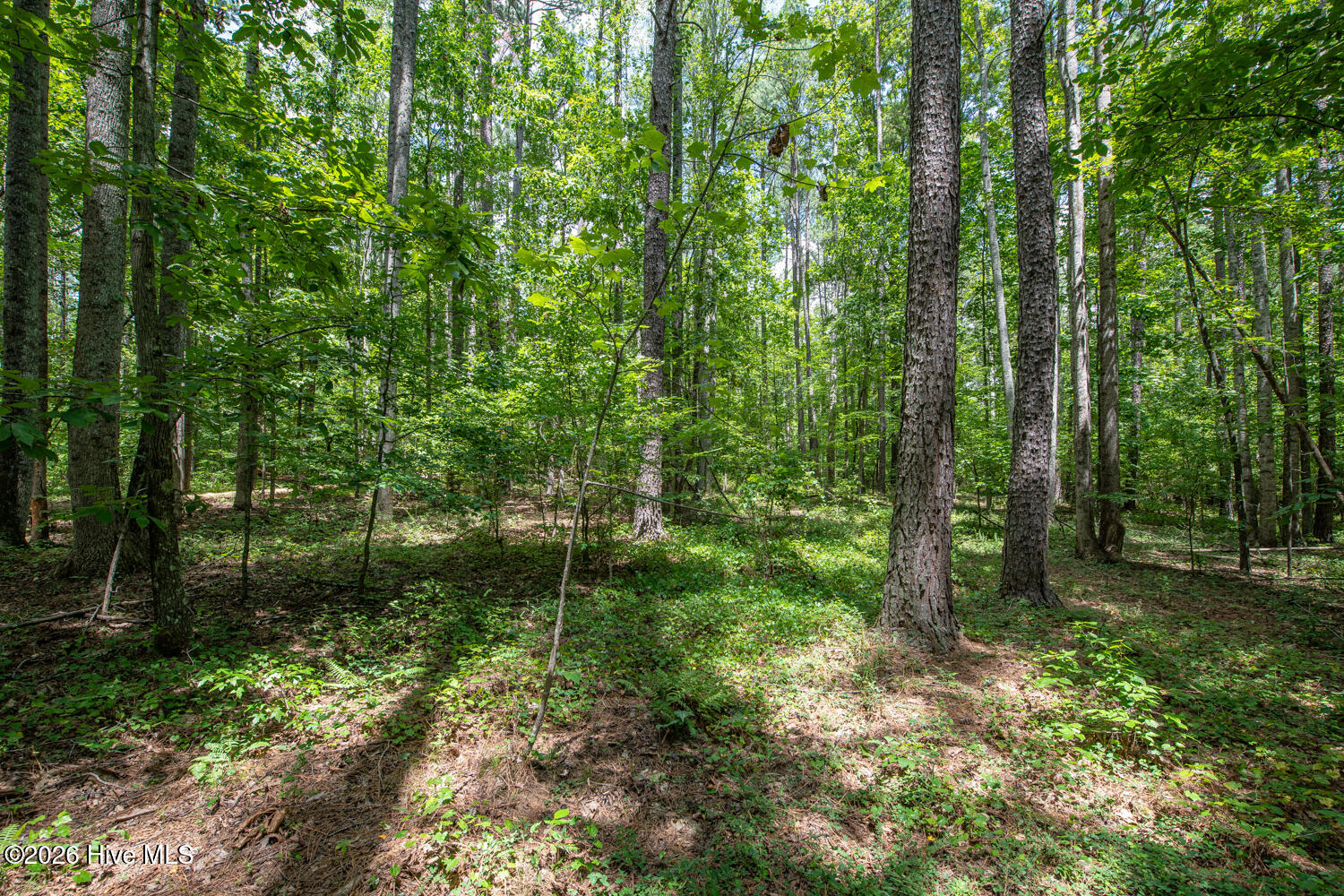 main property photo 28