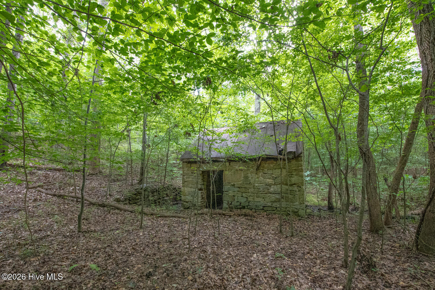 main property photo 35