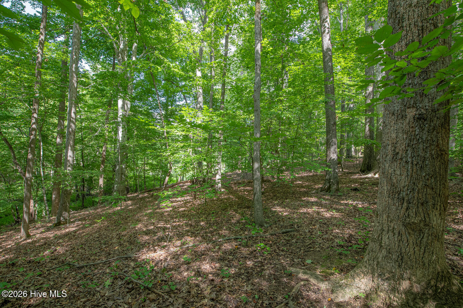 main property photo 42