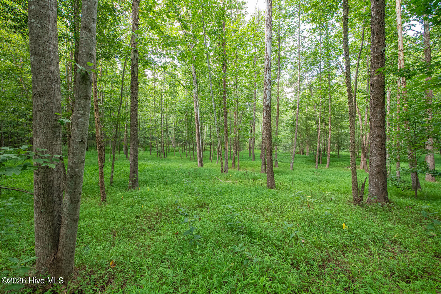 main property photo 43
