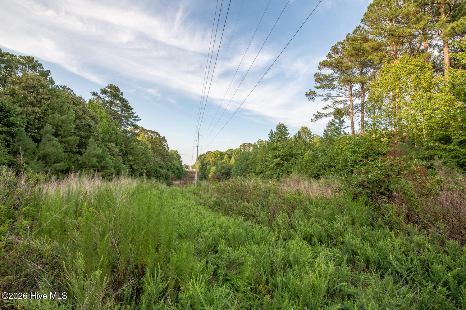 main property photo 47