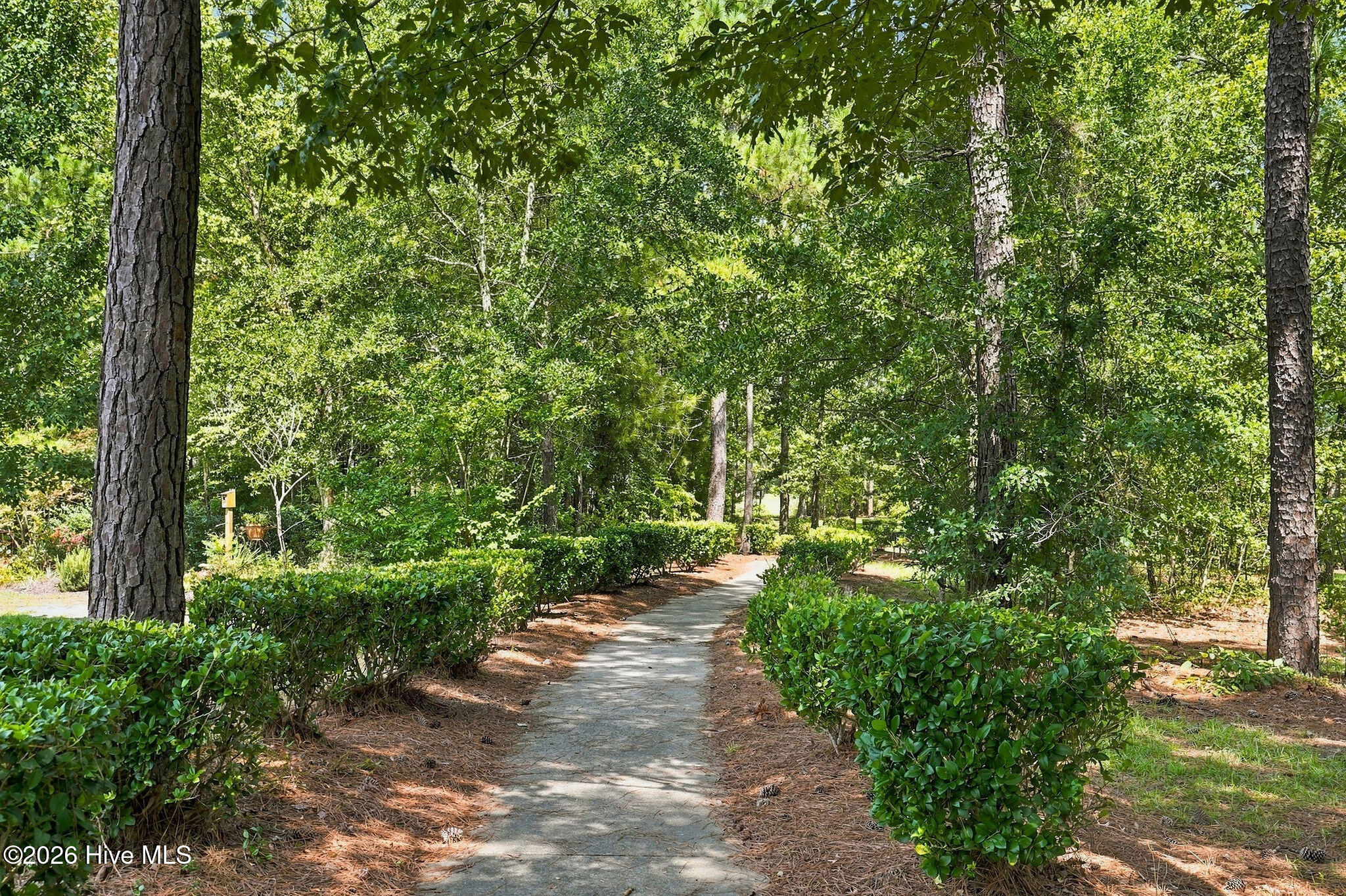 main property photo 56