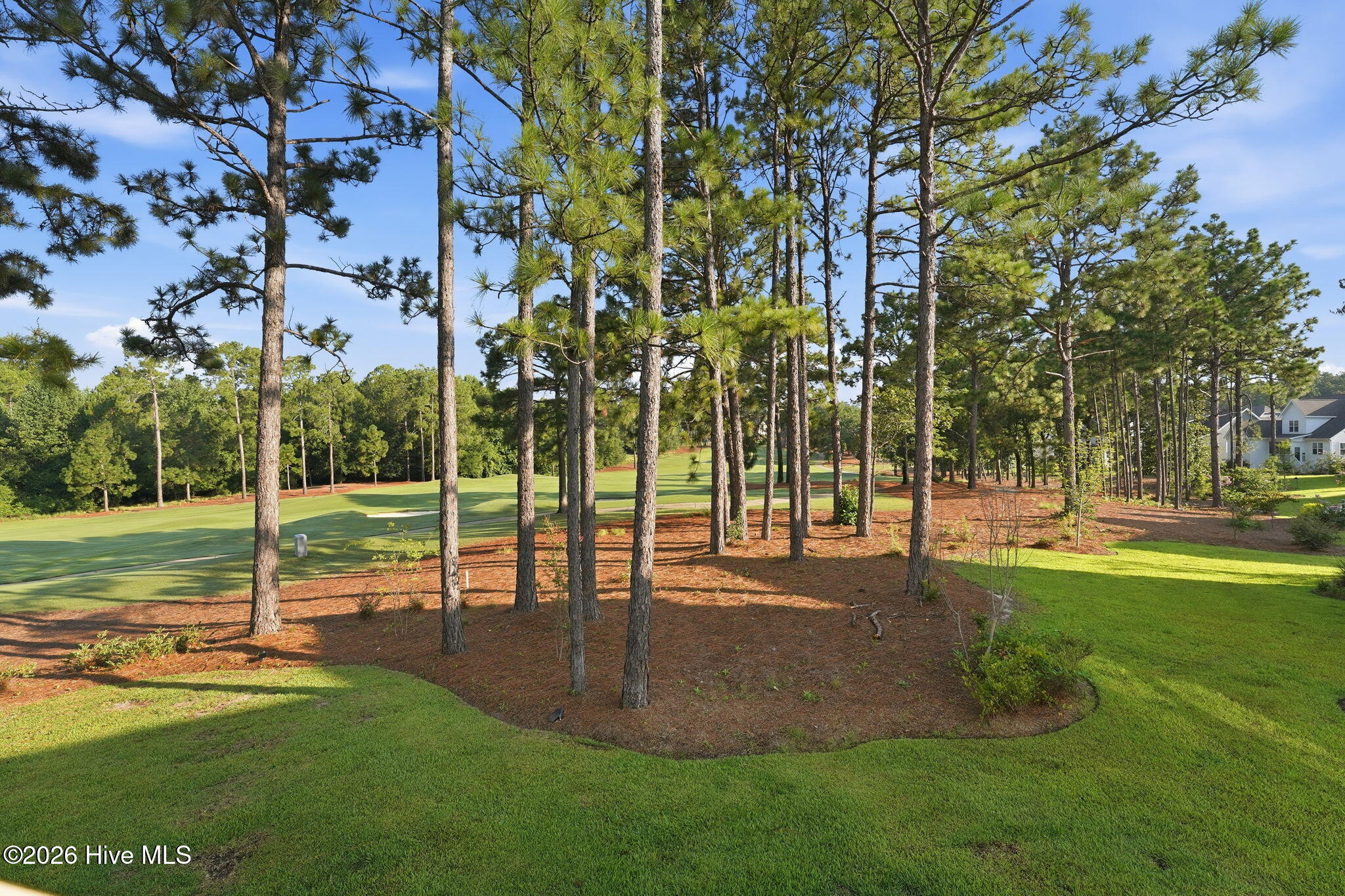 main property photo 61