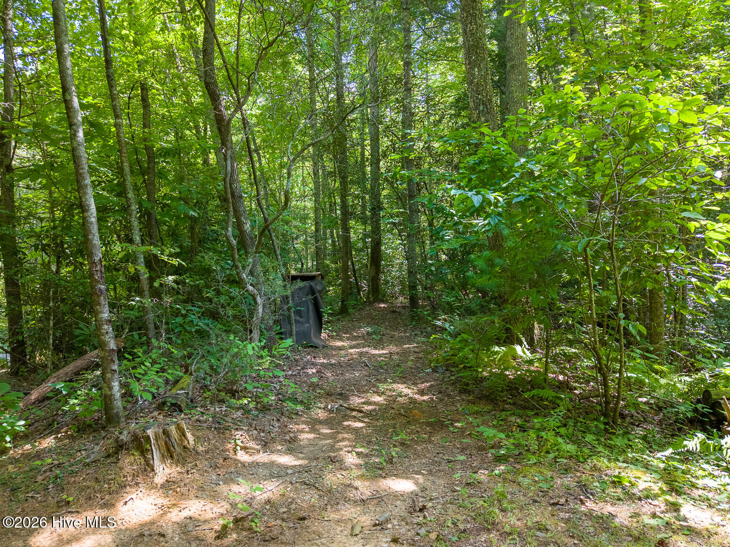 main property photo 41