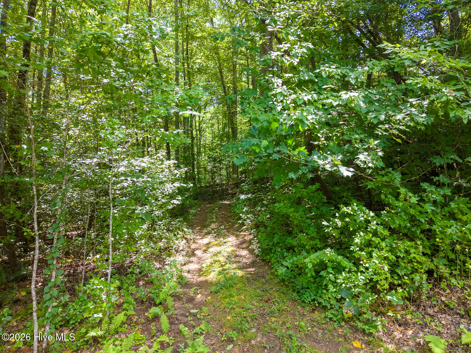 main property photo 42