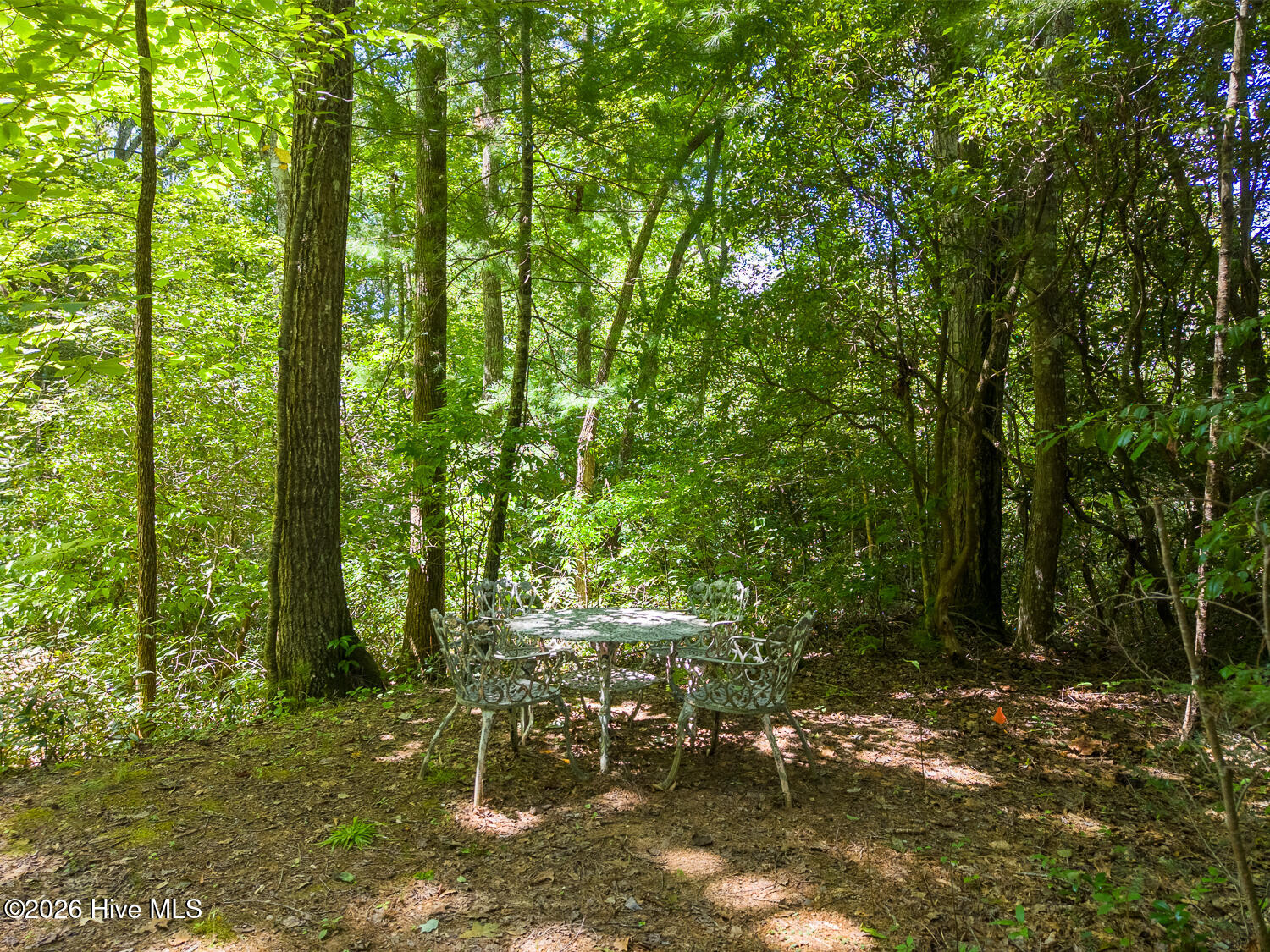 main property photo 43
