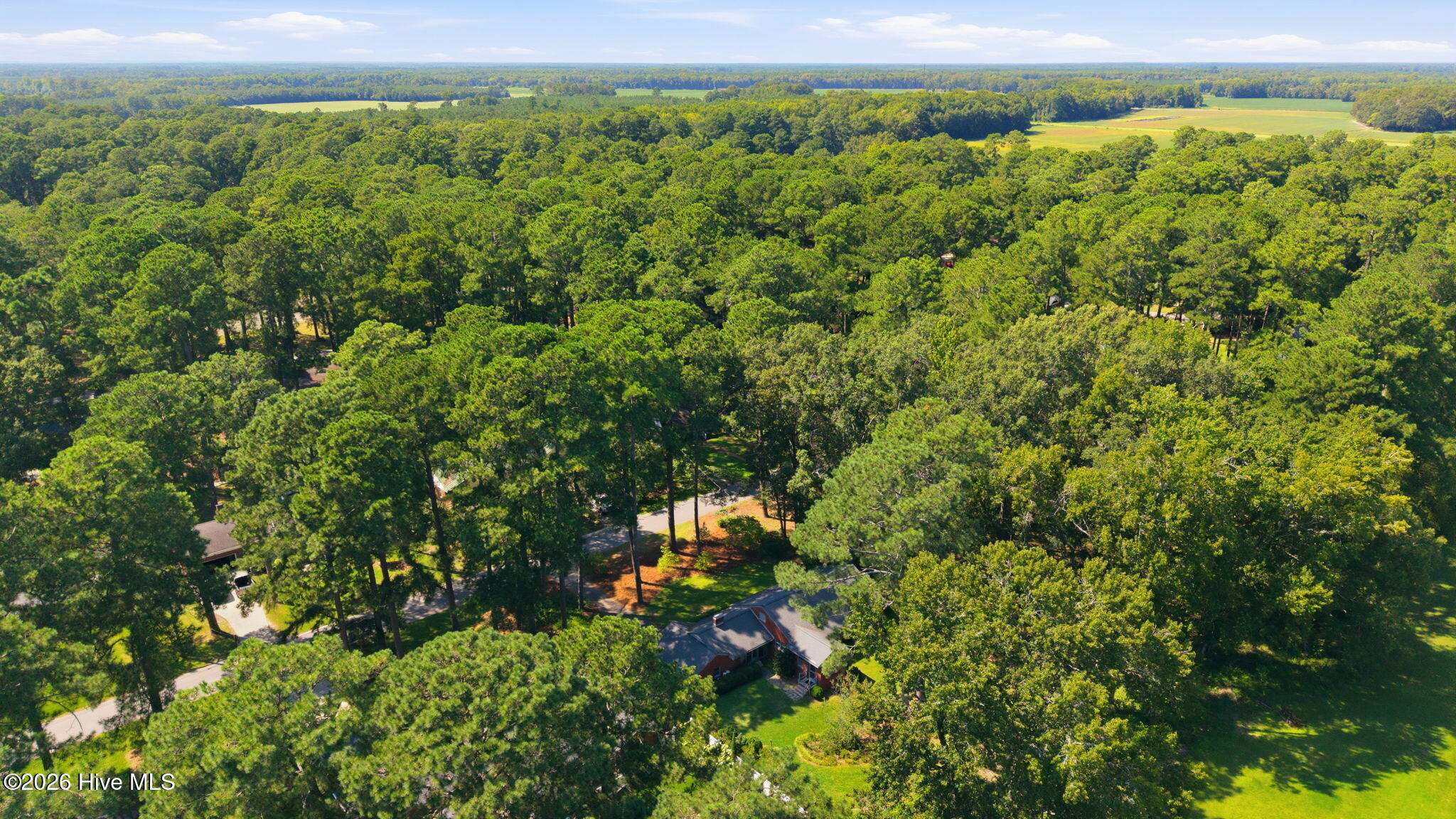 main property photo 50