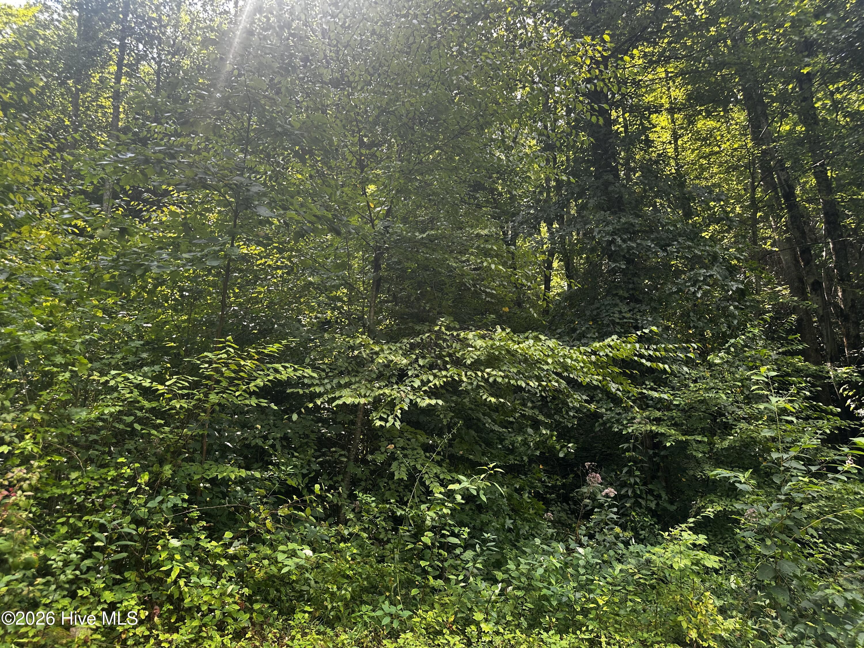 main property photo 6