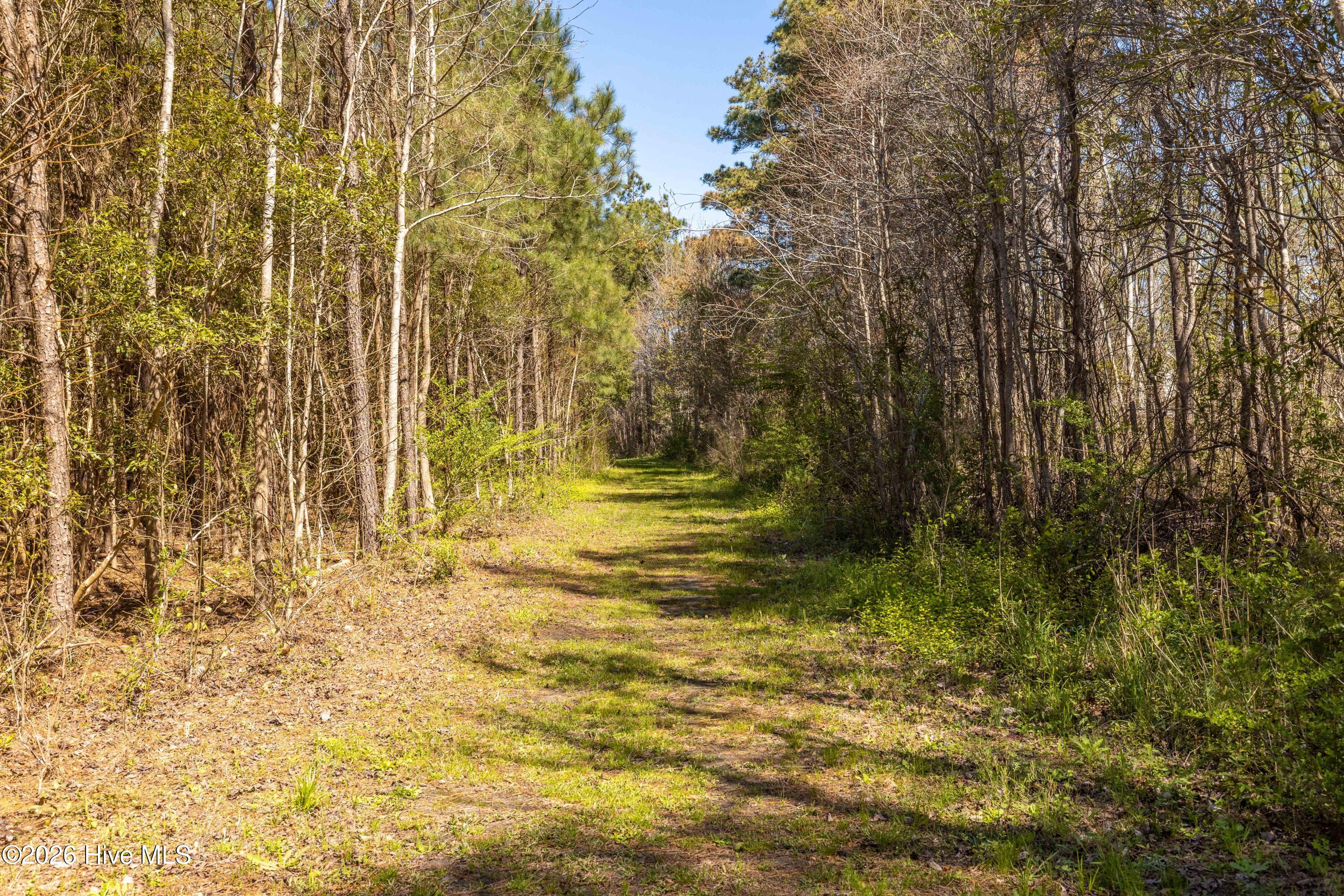 main property photo 32