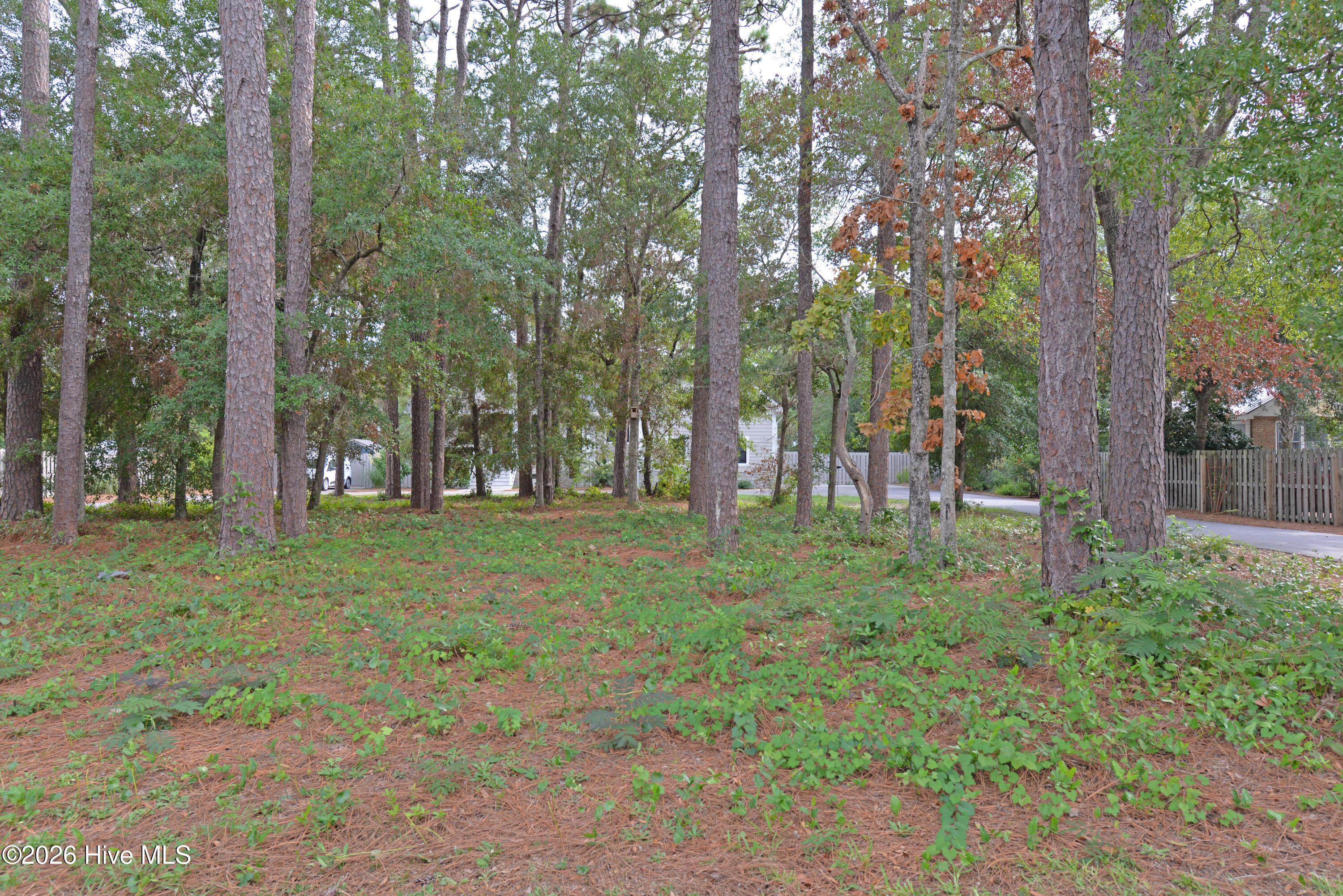 main property photo 44
