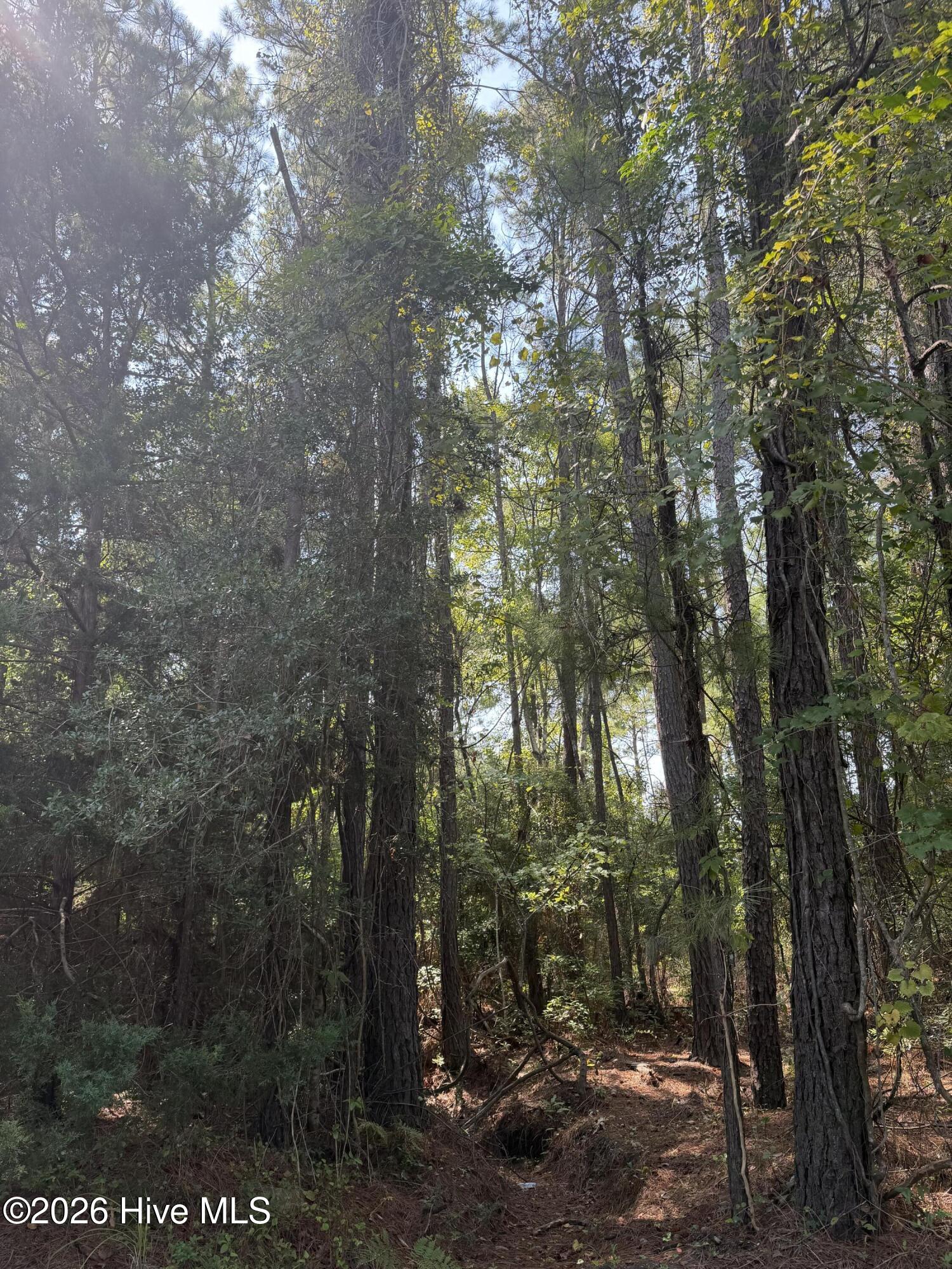 main property photo 4