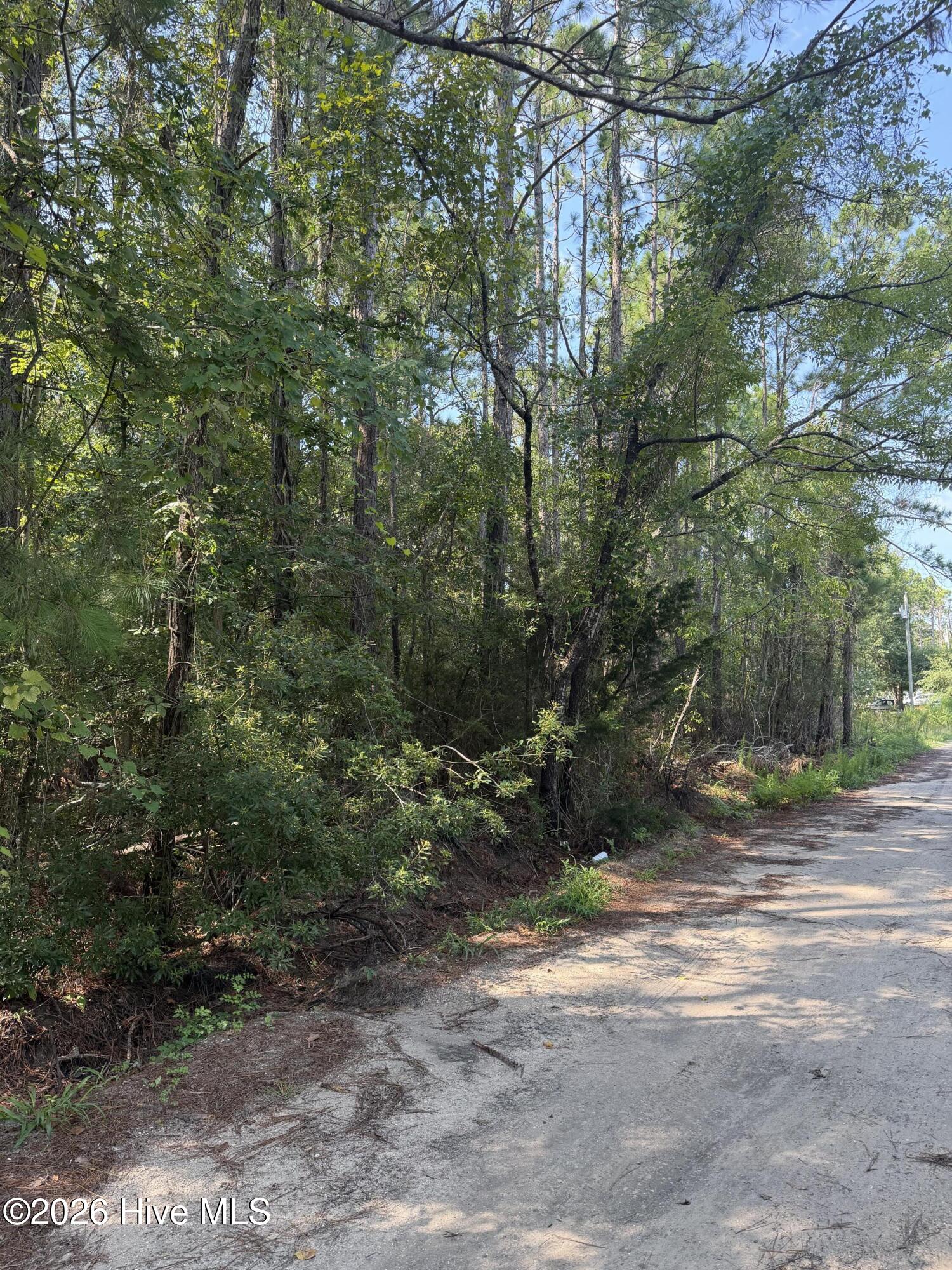 main property photo 5