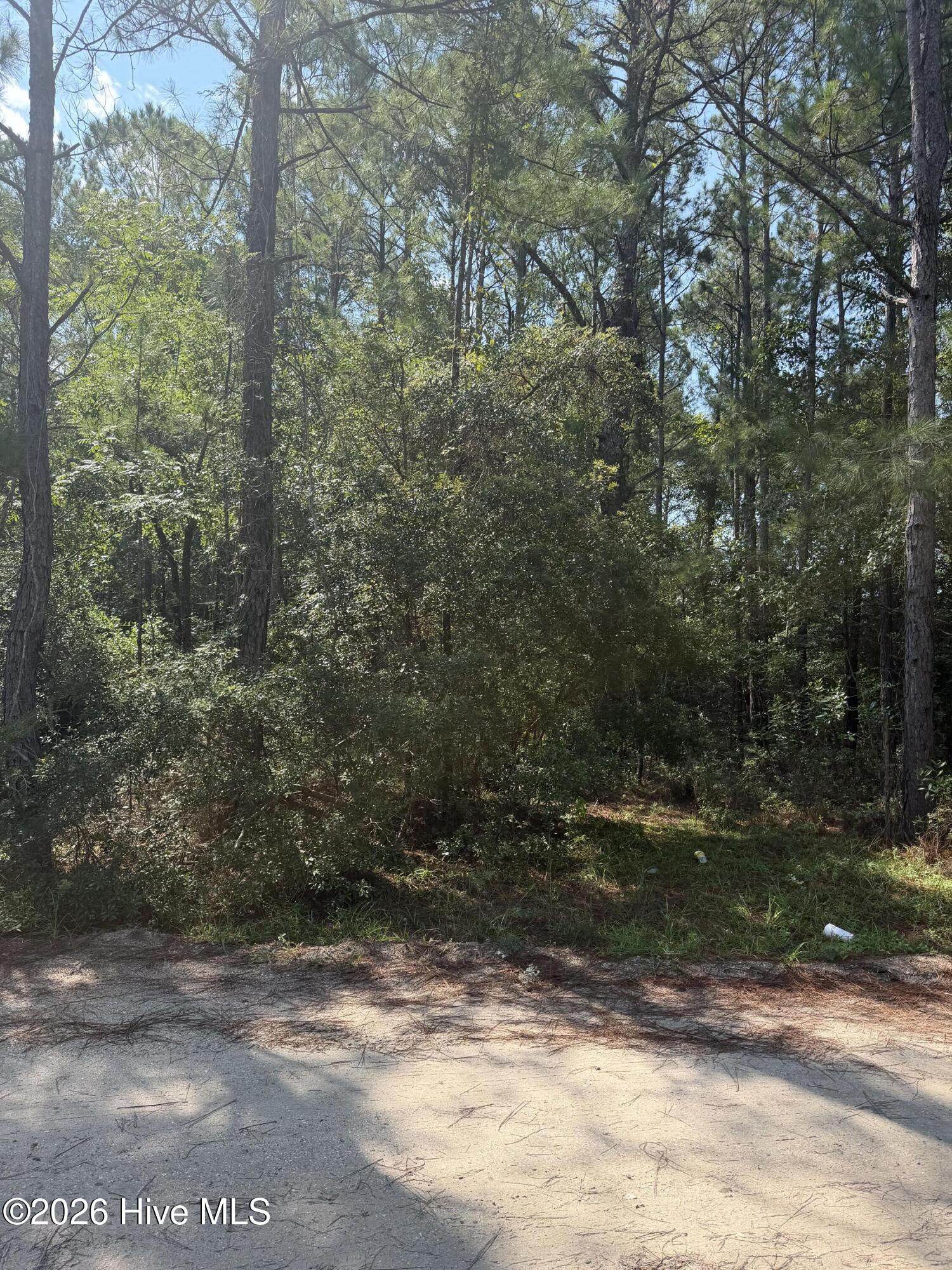 main property photo 8