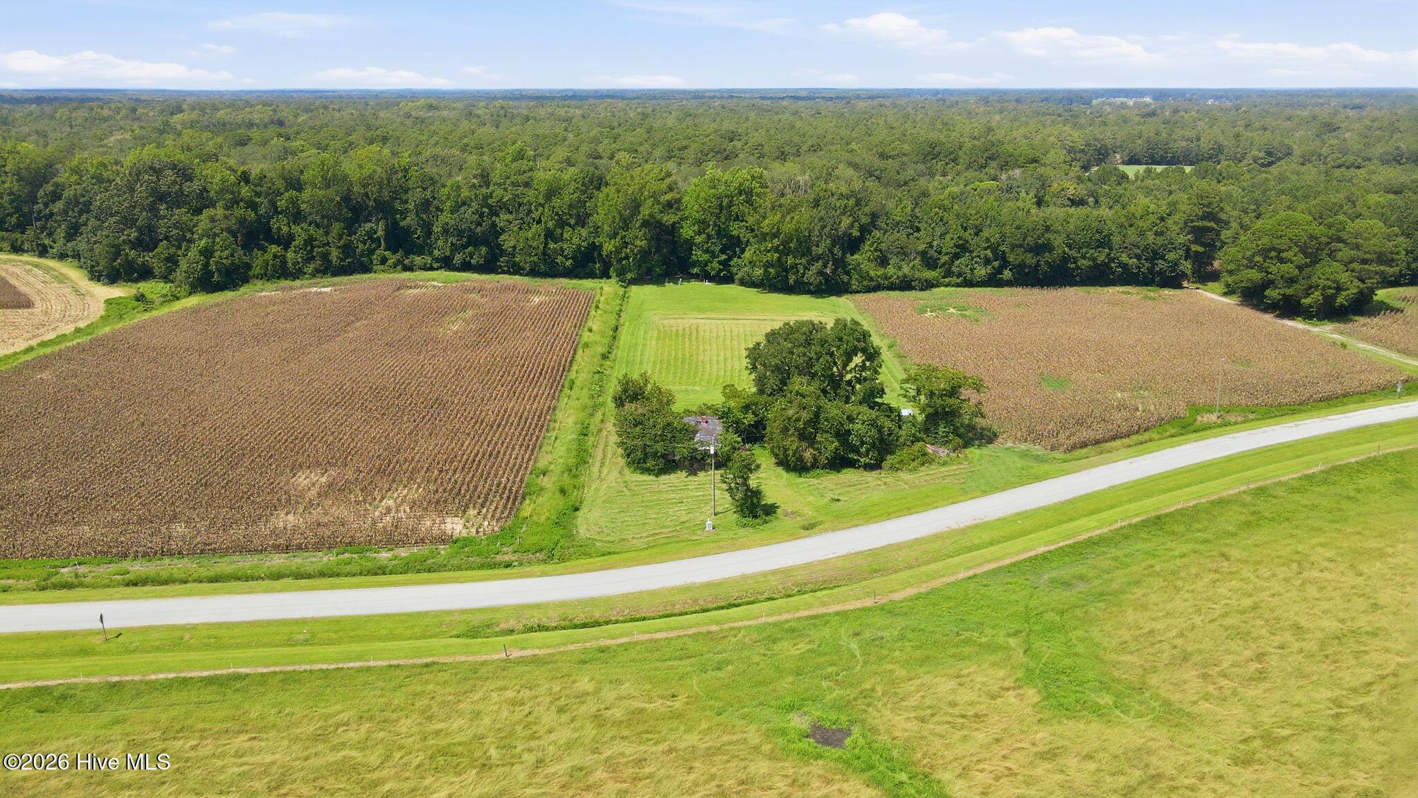 main property photo 5