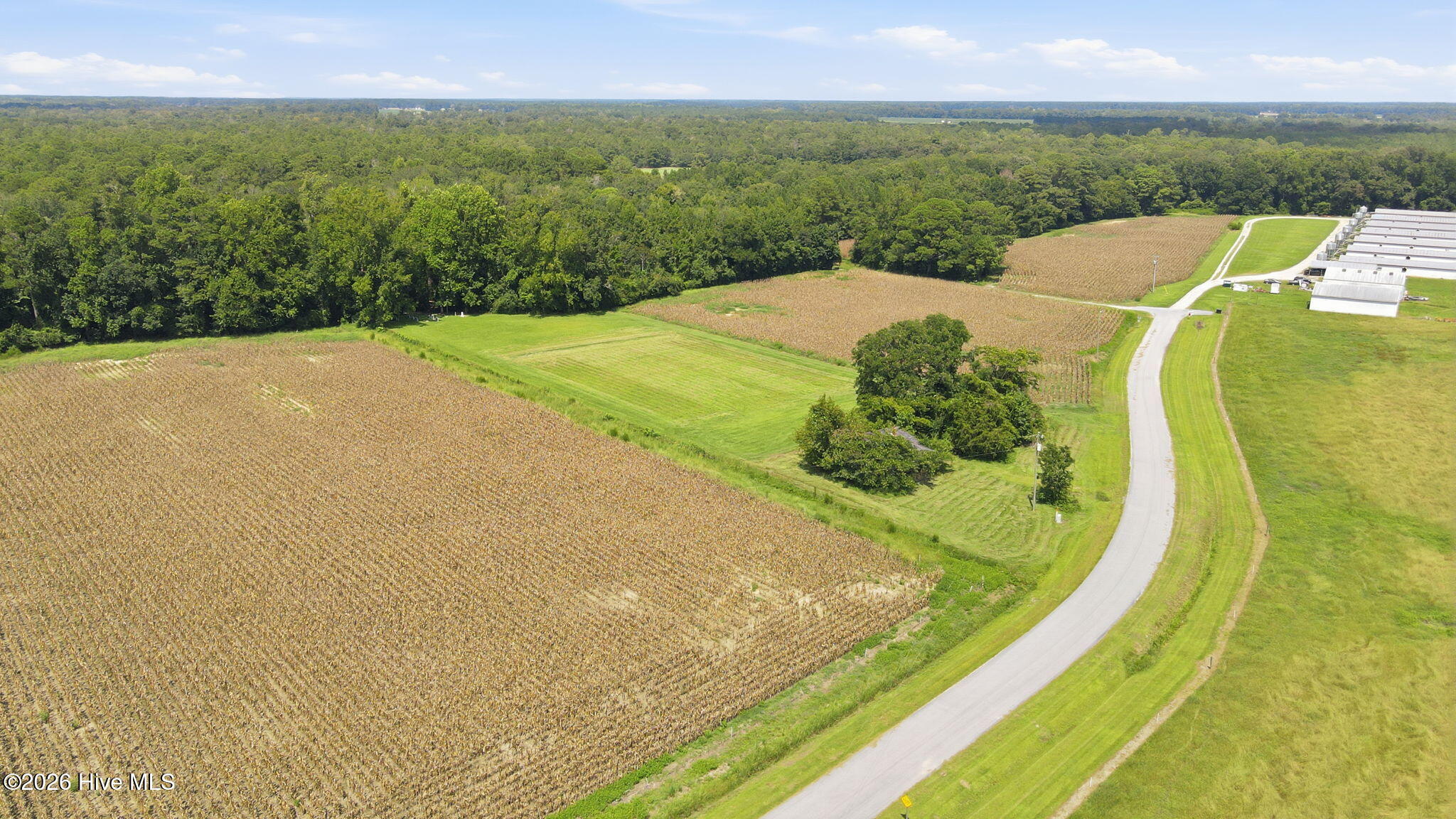 main property photo 6