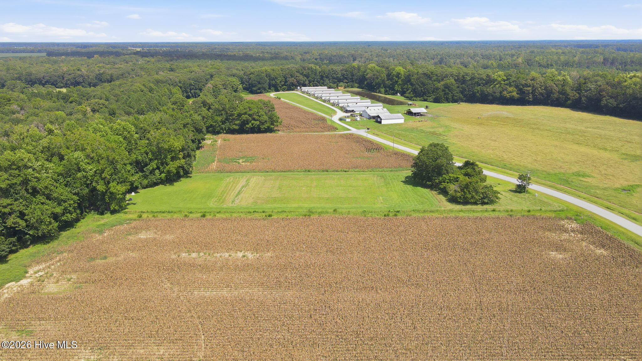 main property photo 7