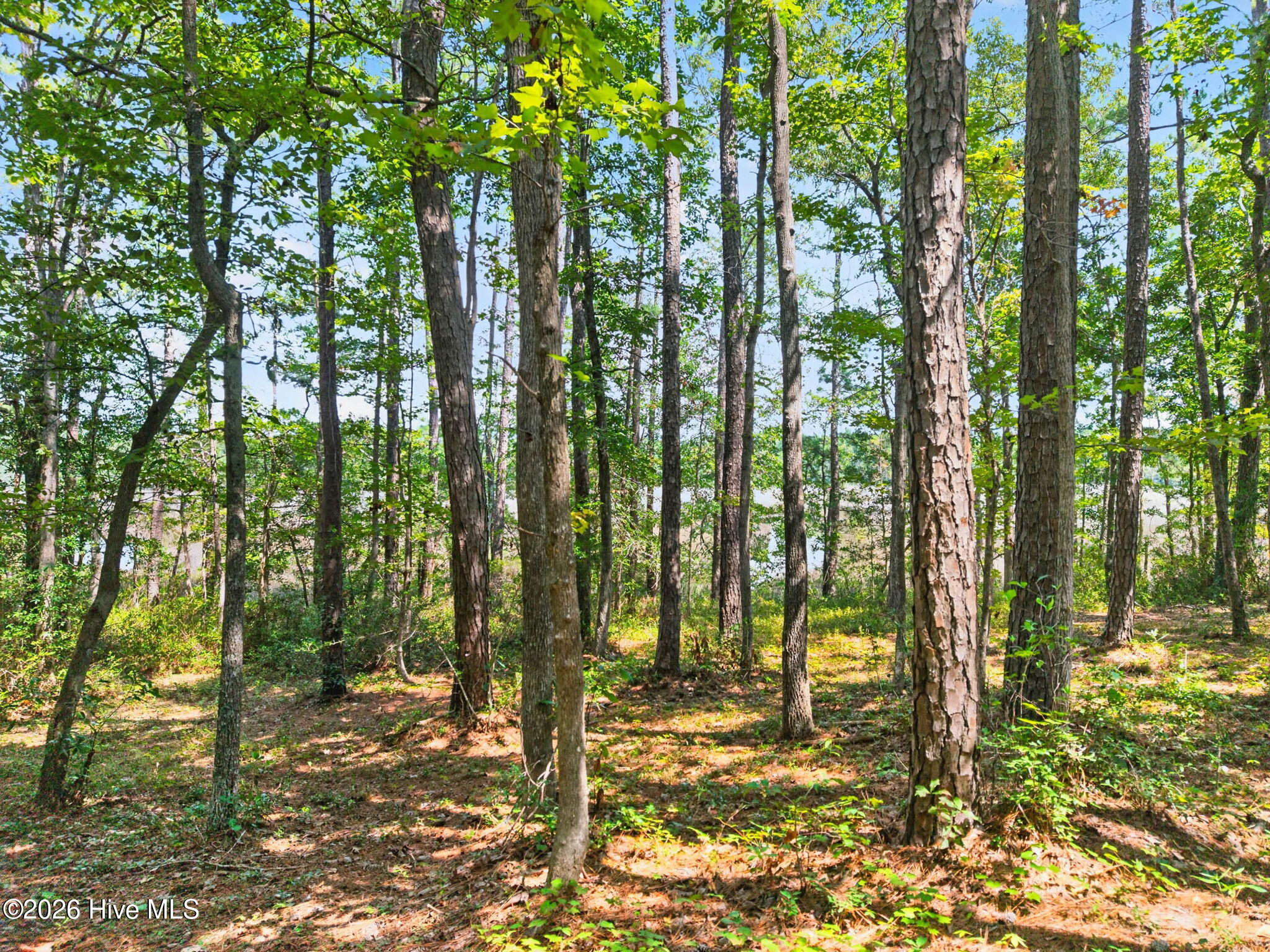 main property photo 11
