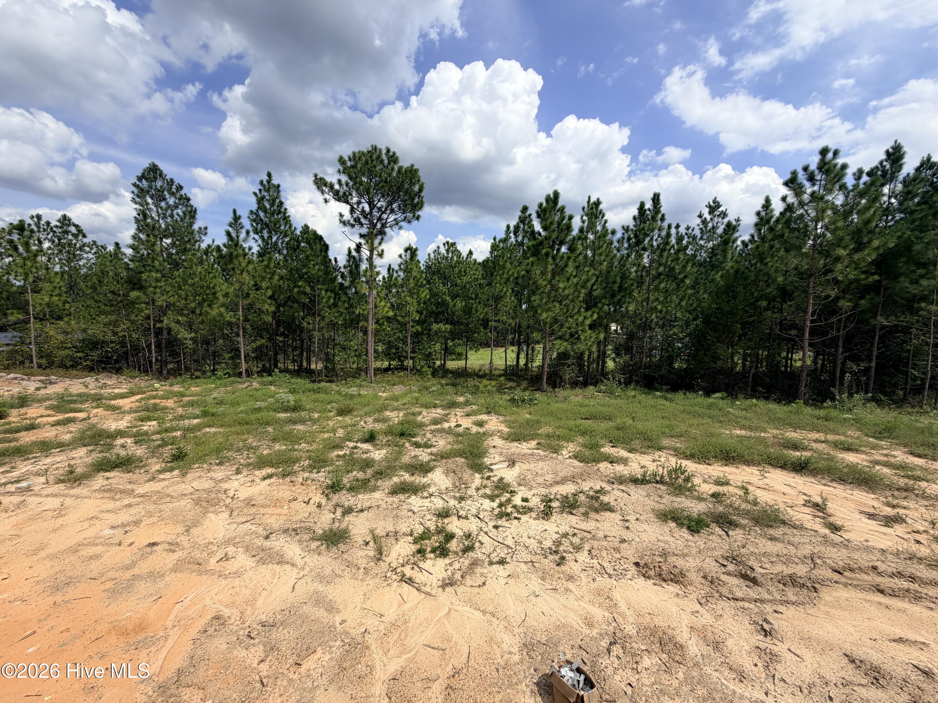 main property photo 54