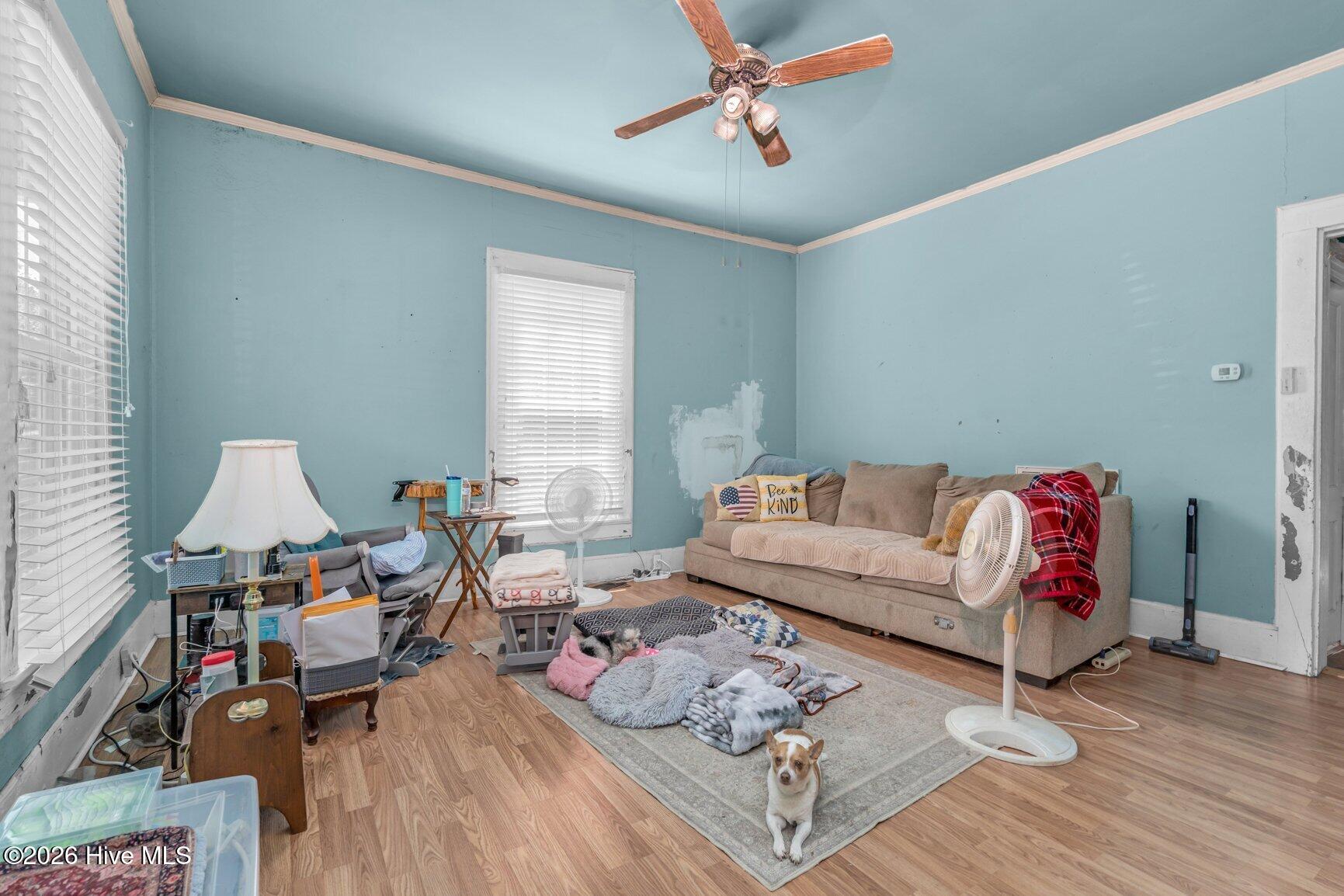 main property photo 19