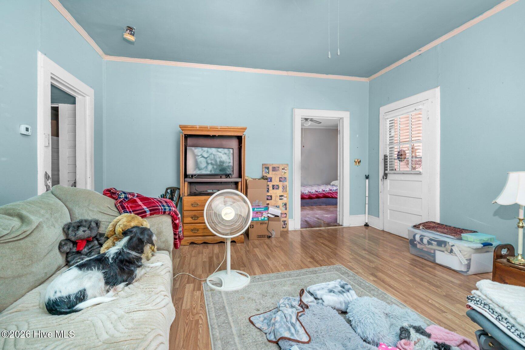 main property photo 21